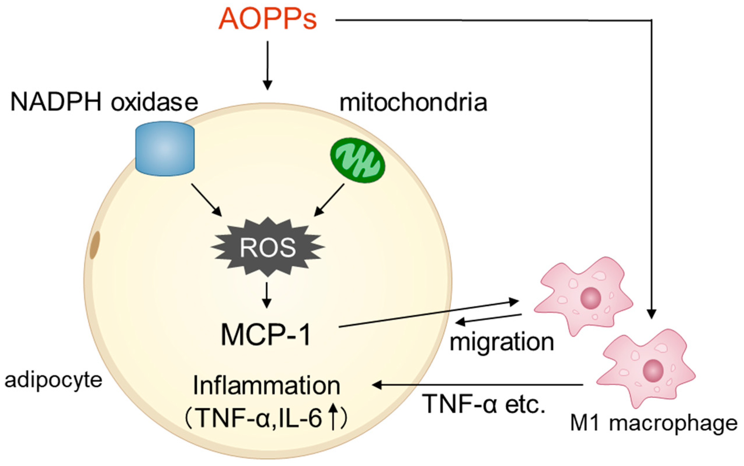 Toxins 15 00179 g005 Toxins 15 00179 g005