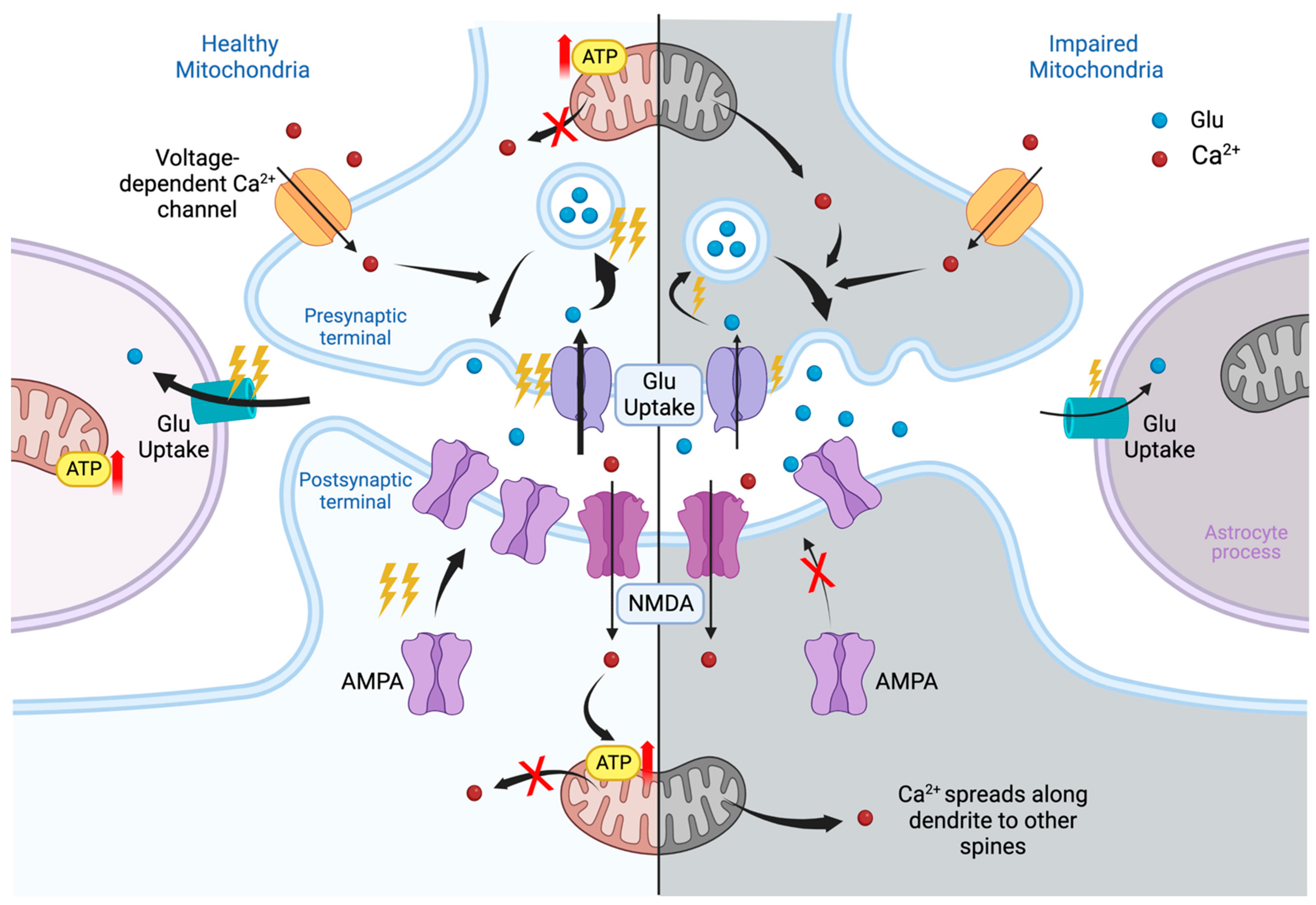Toxins 15 00202 g001 Toxins 15 00202 g001