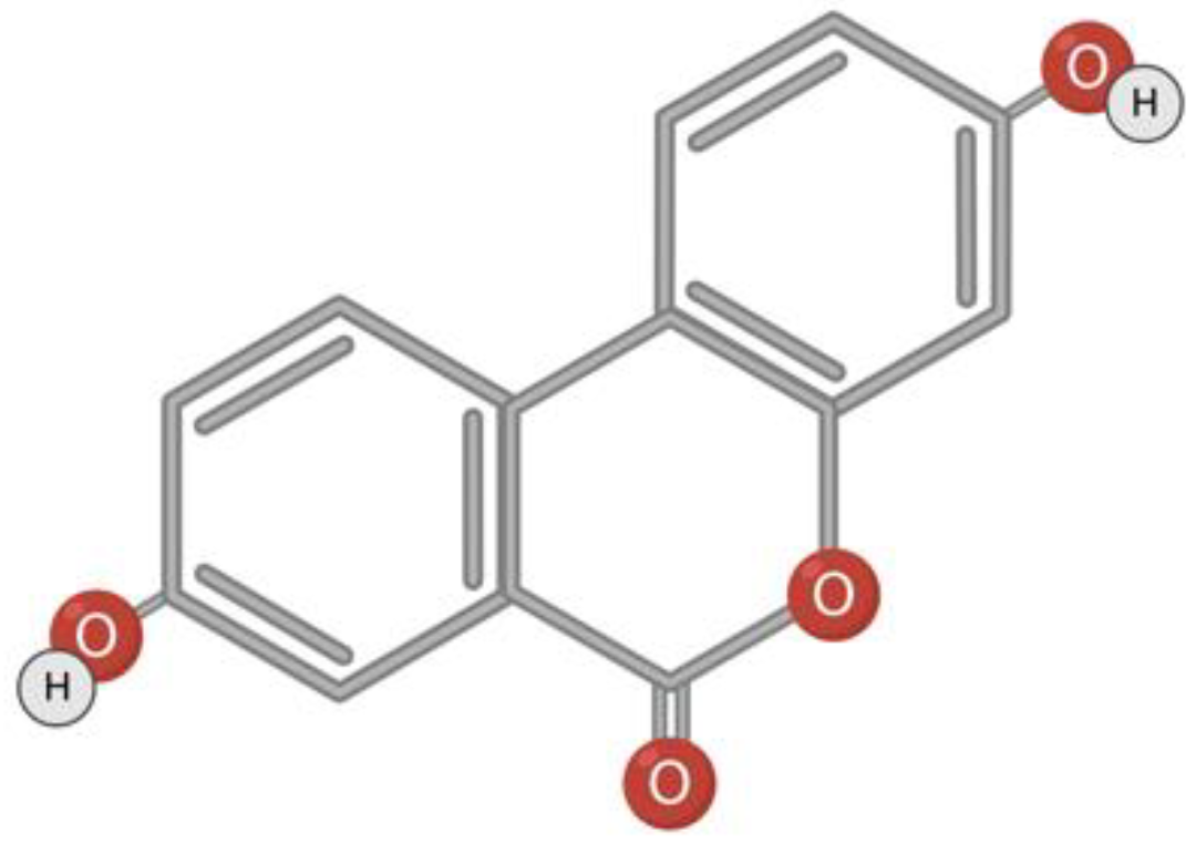 Toxins 15 00202 g004 Toxins 15 00202 g004