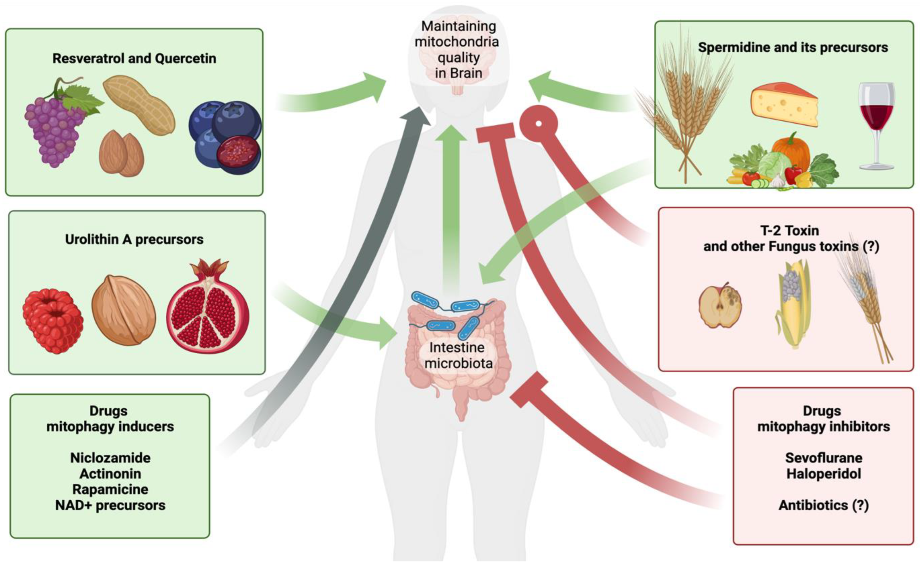 Toxins 15 00202 g010 Toxins 15 00202 g010