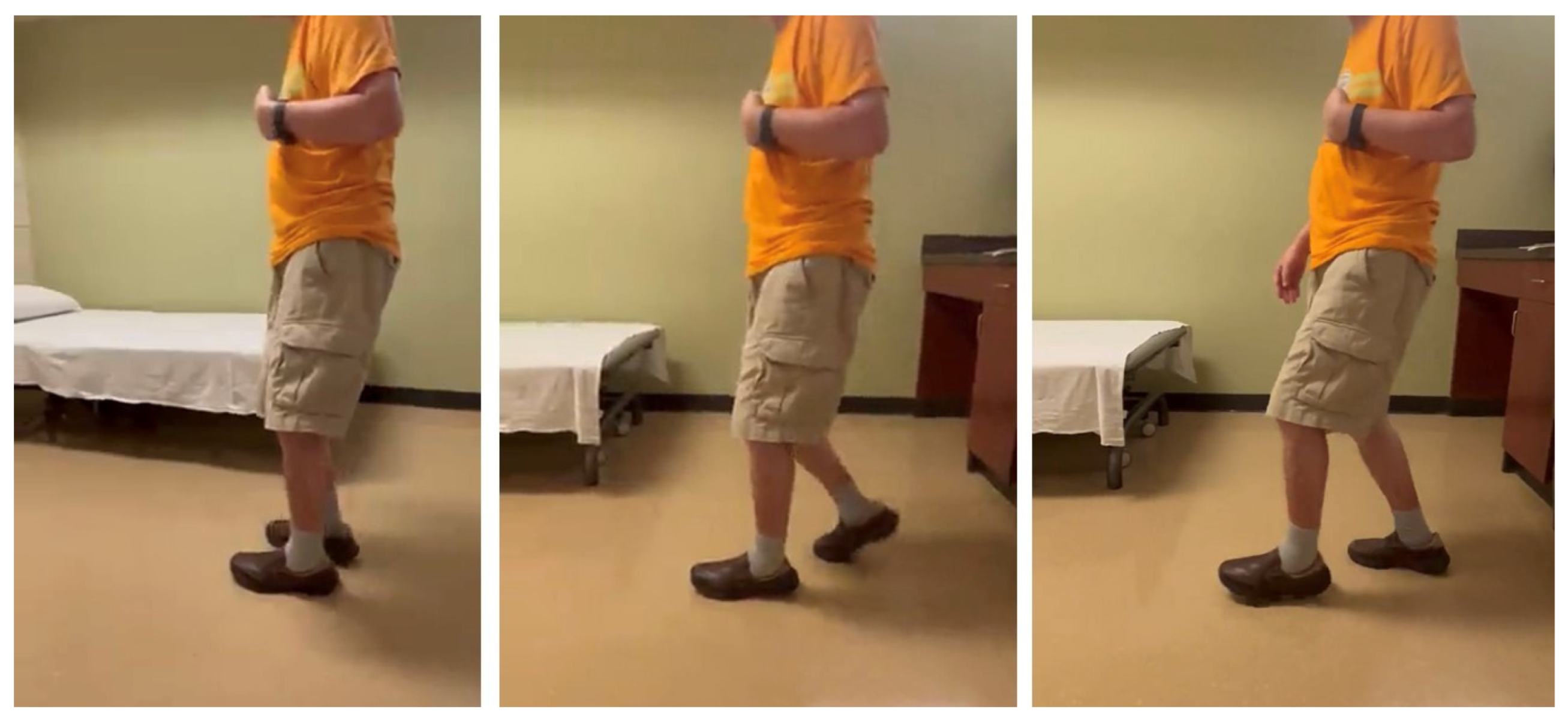 Toxins 15 00204 g004