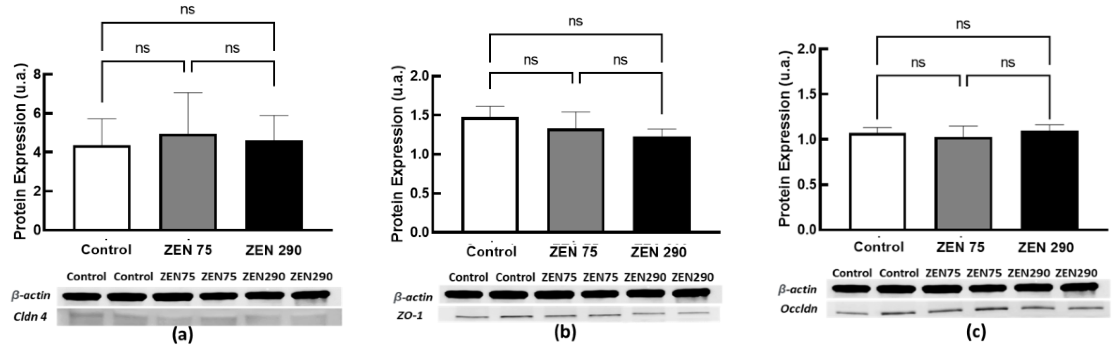 Toxins 15 00206 g006
