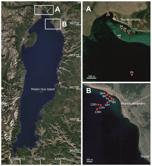 Toxins 15 00213 g009