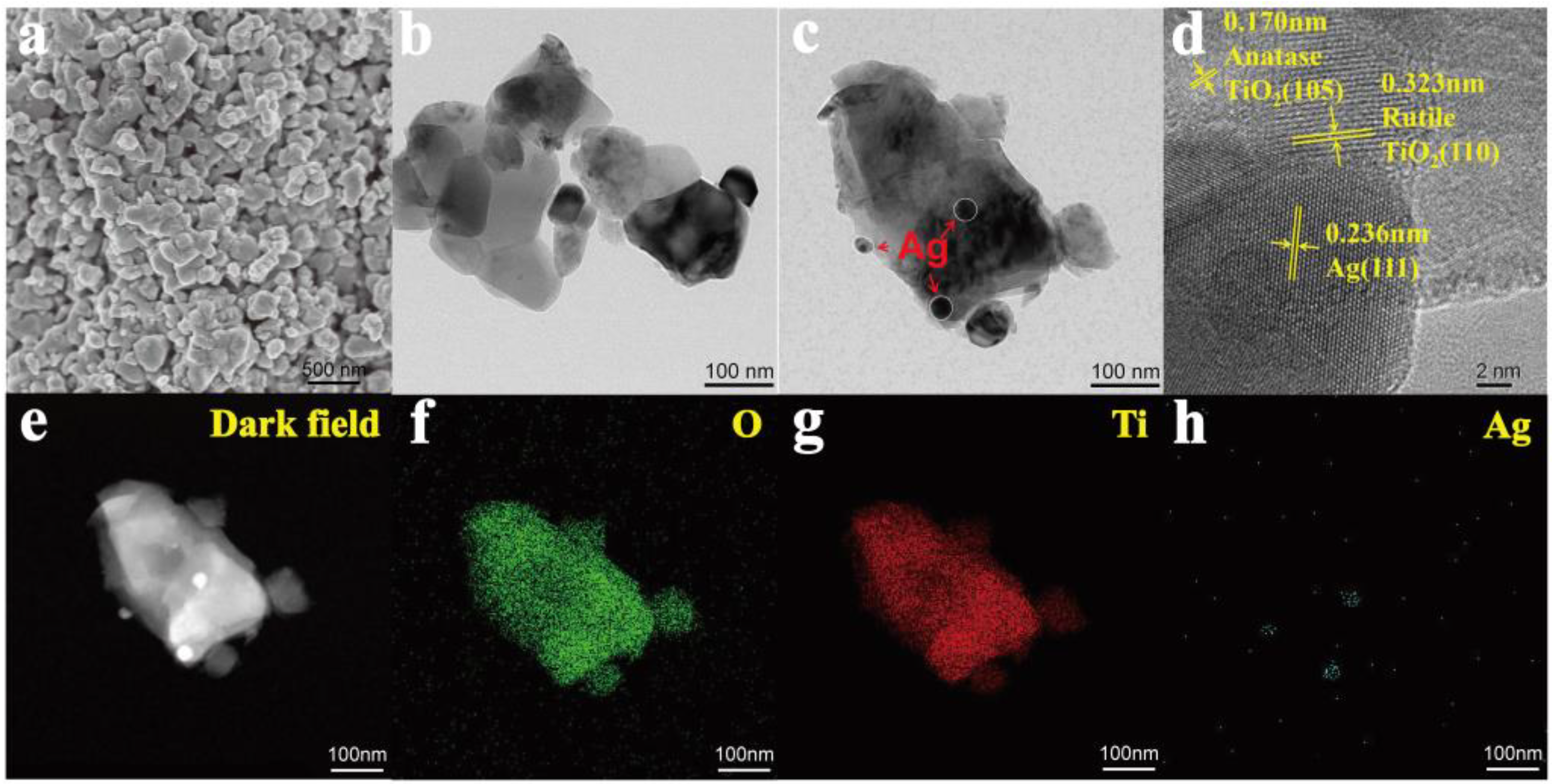 Toxins 15 00216 g003 Toxins 15 00216 g003