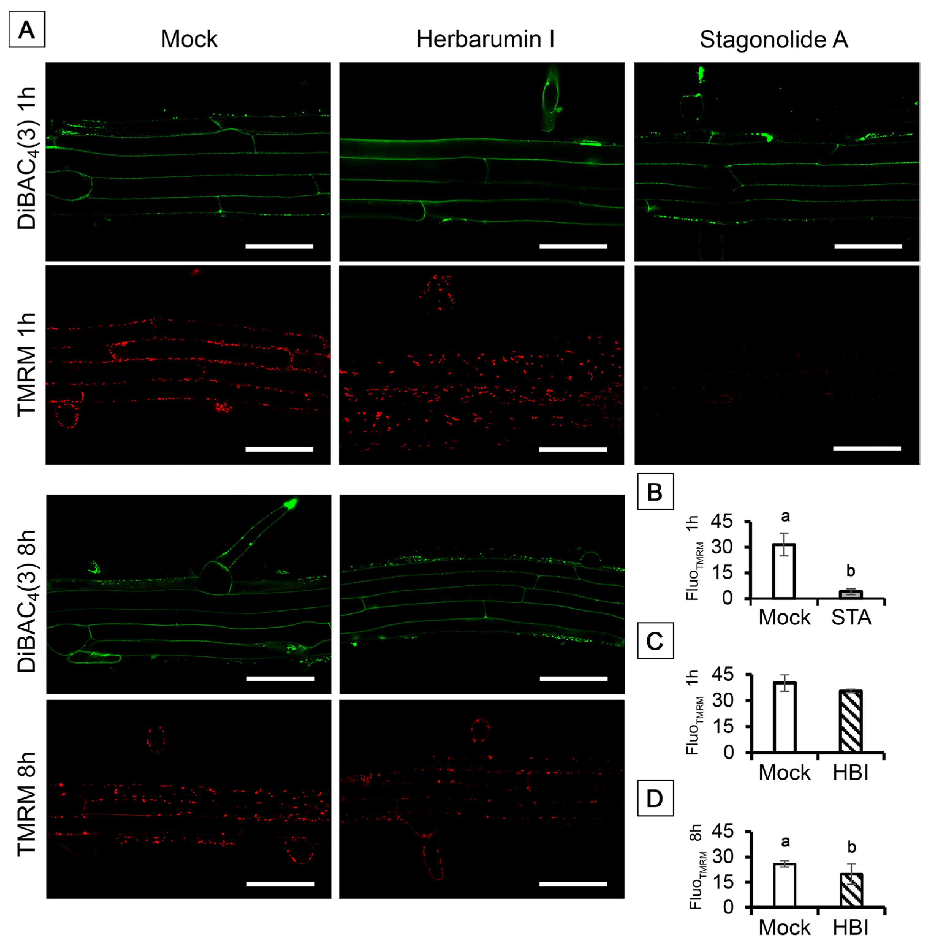 Toxins 15 00234 g010