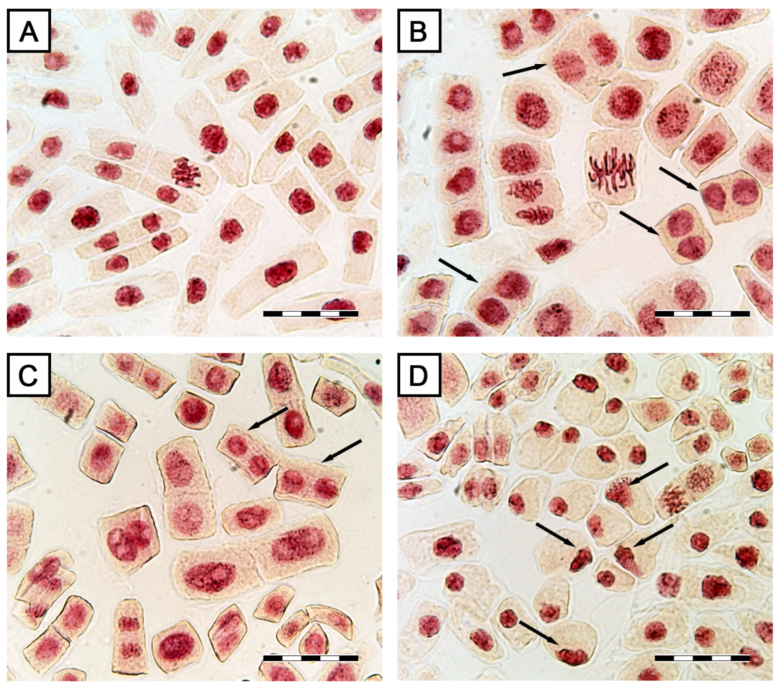 Toxins 15 00234 g011