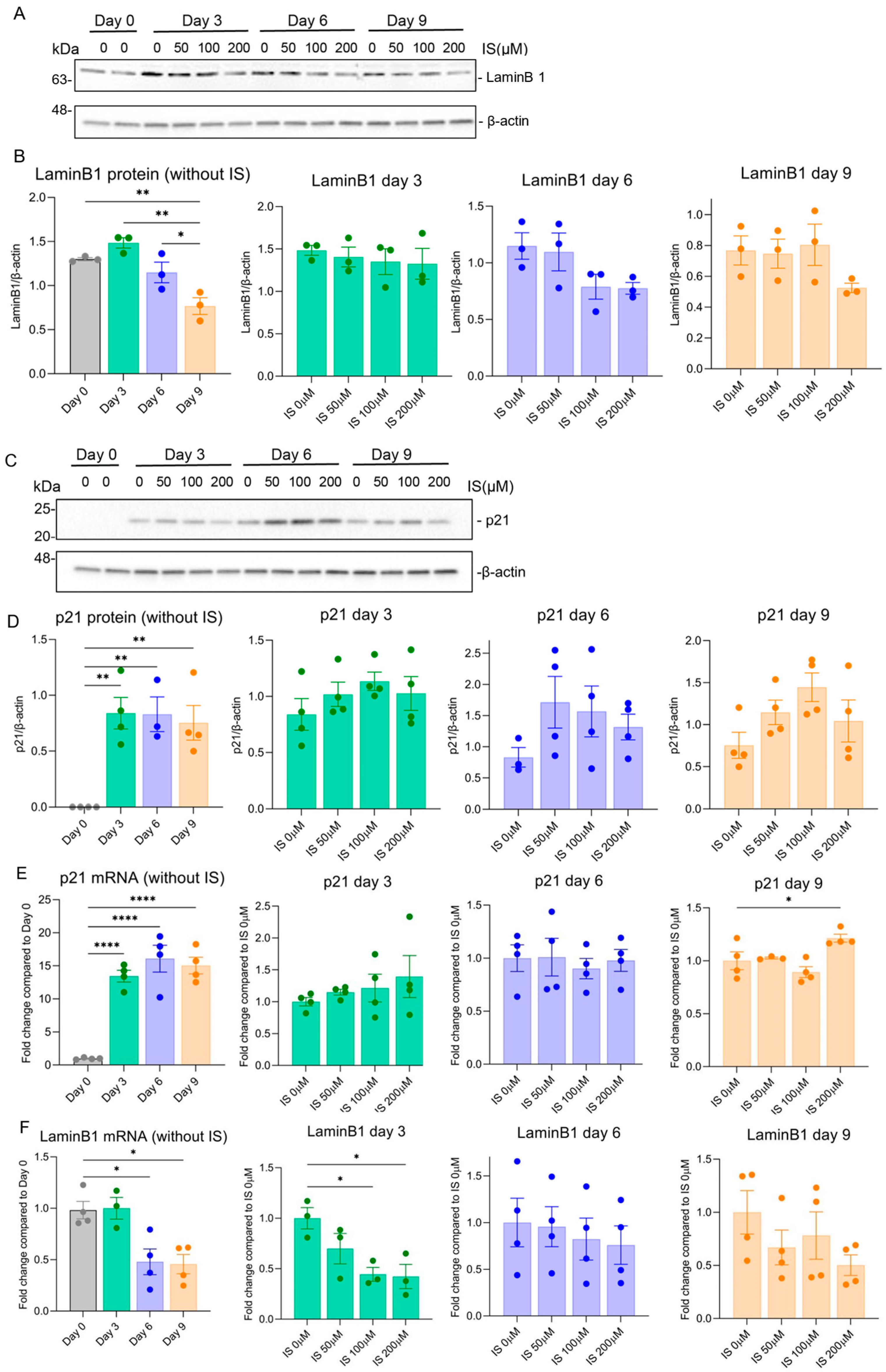 Toxins 15 00242 g002 Toxins 15 00242 g002