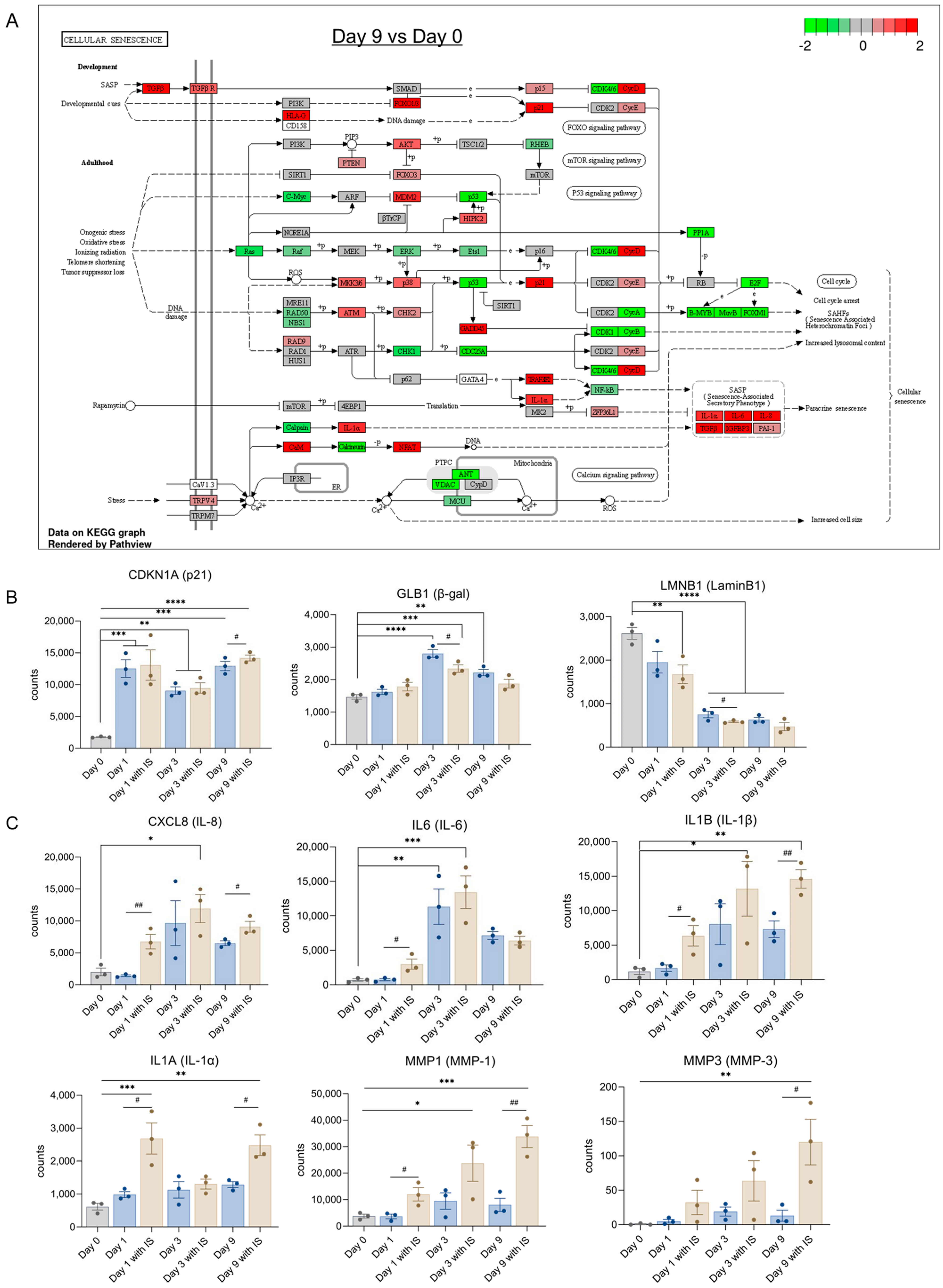 Toxins 15 00242 g005 Toxins 15 00242 g005