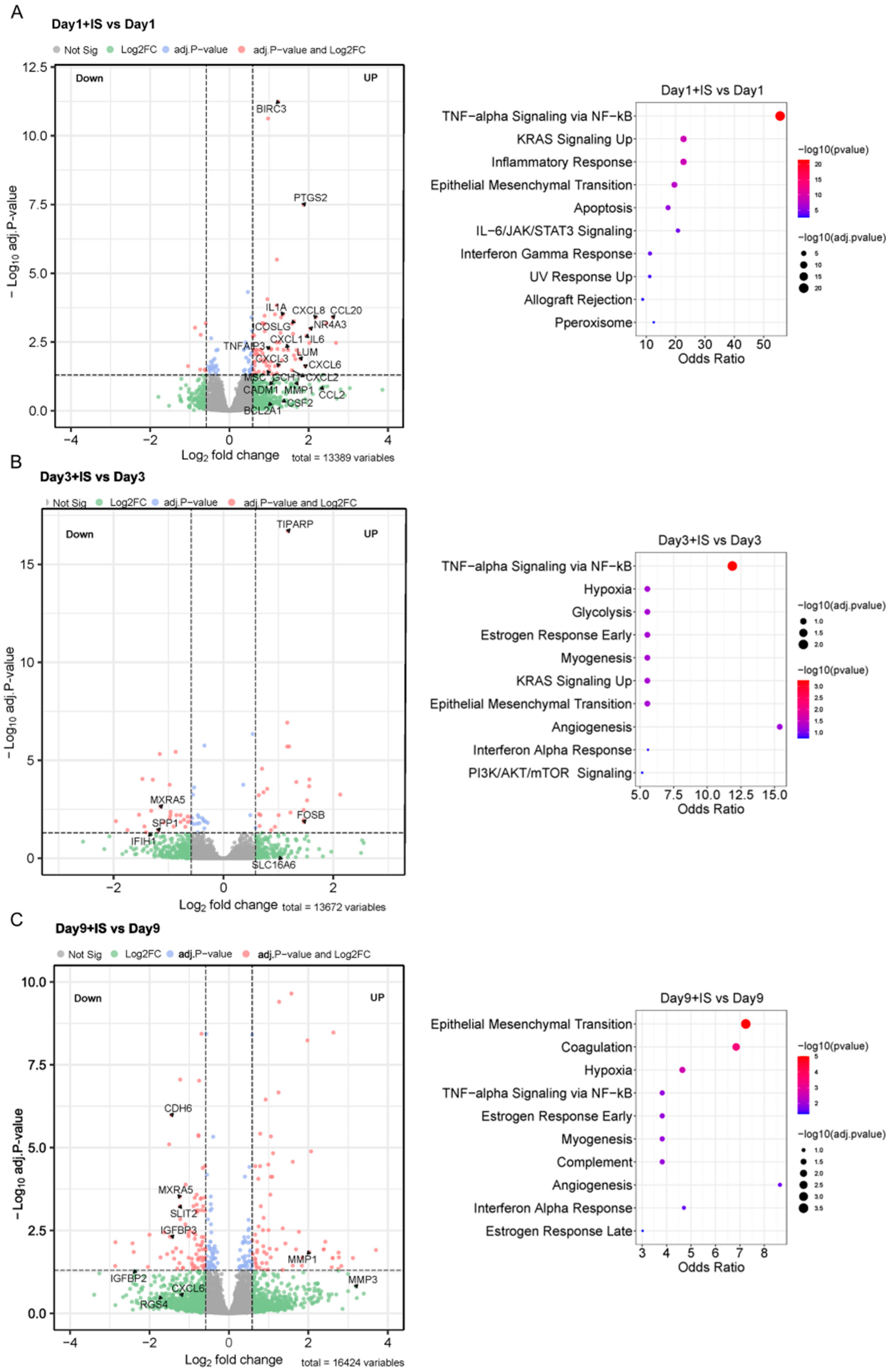 Toxins 15 00242 g006 Toxins 15 00242 g006