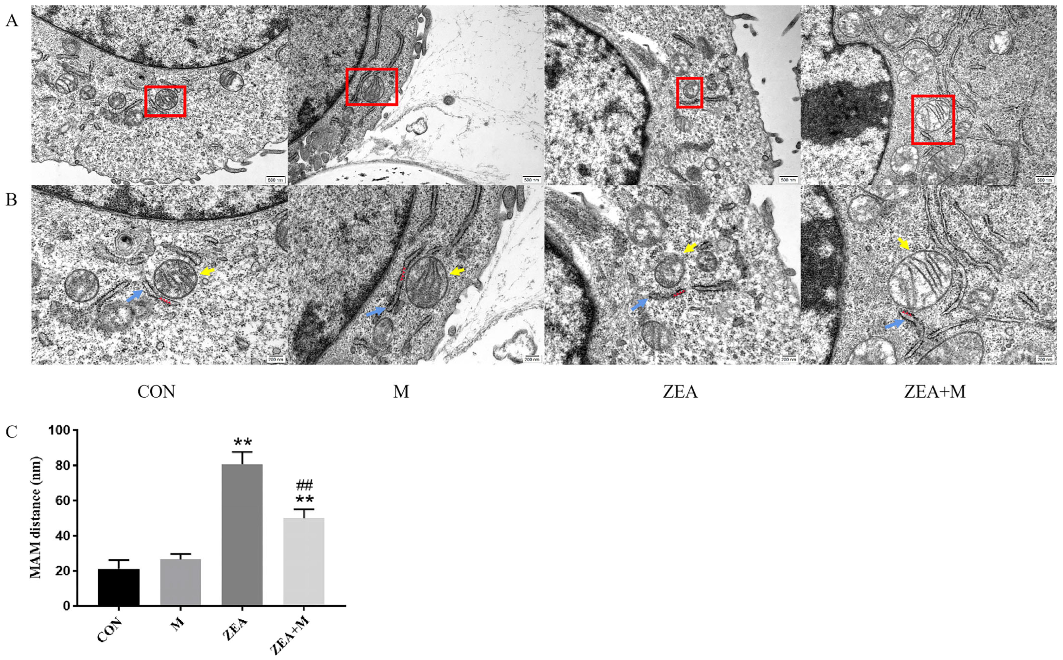 Toxins 15 00253 g003 Toxins 15 00253 g003