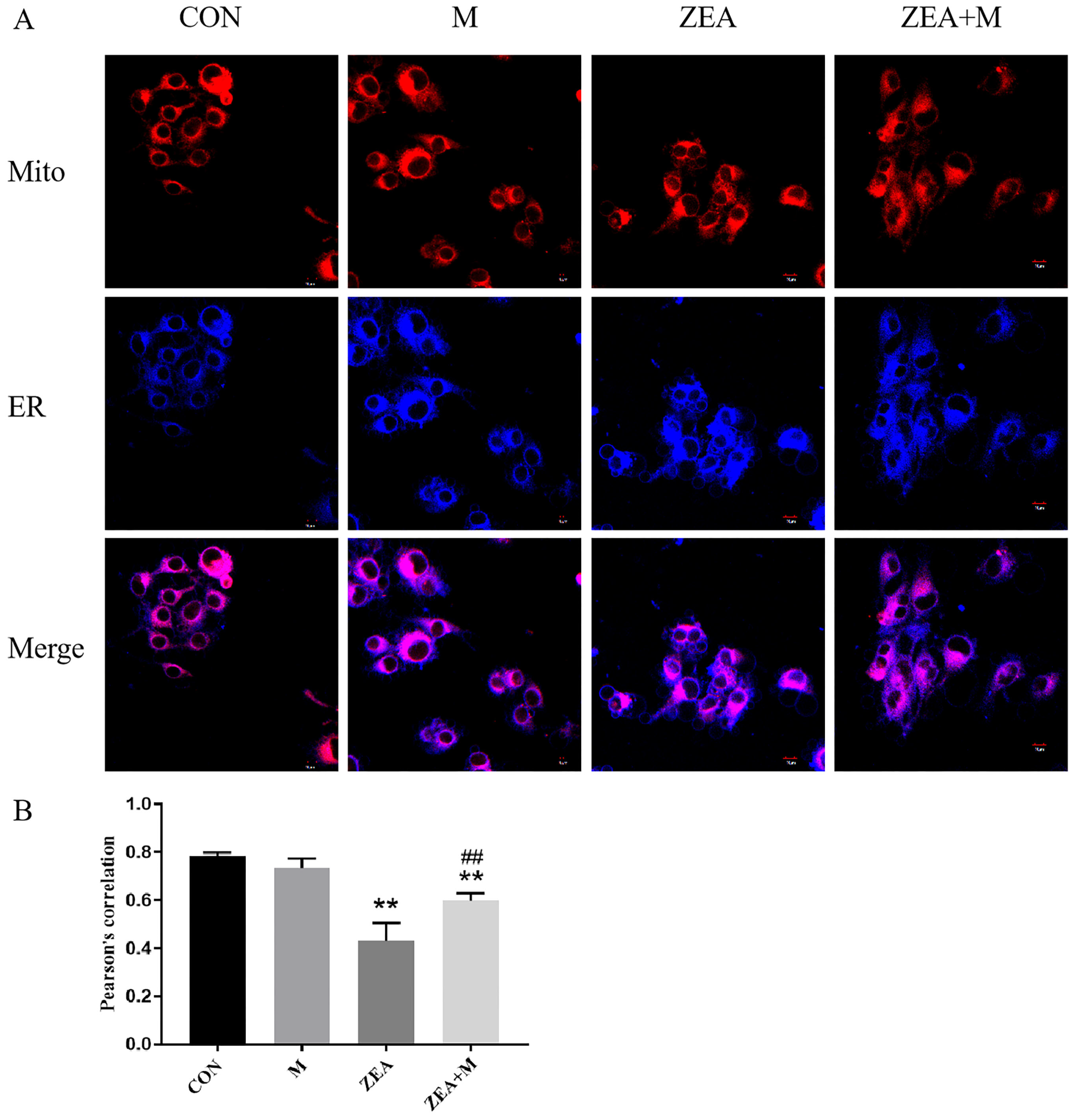 Toxins 15 00253 g004 Toxins 15 00253 g004