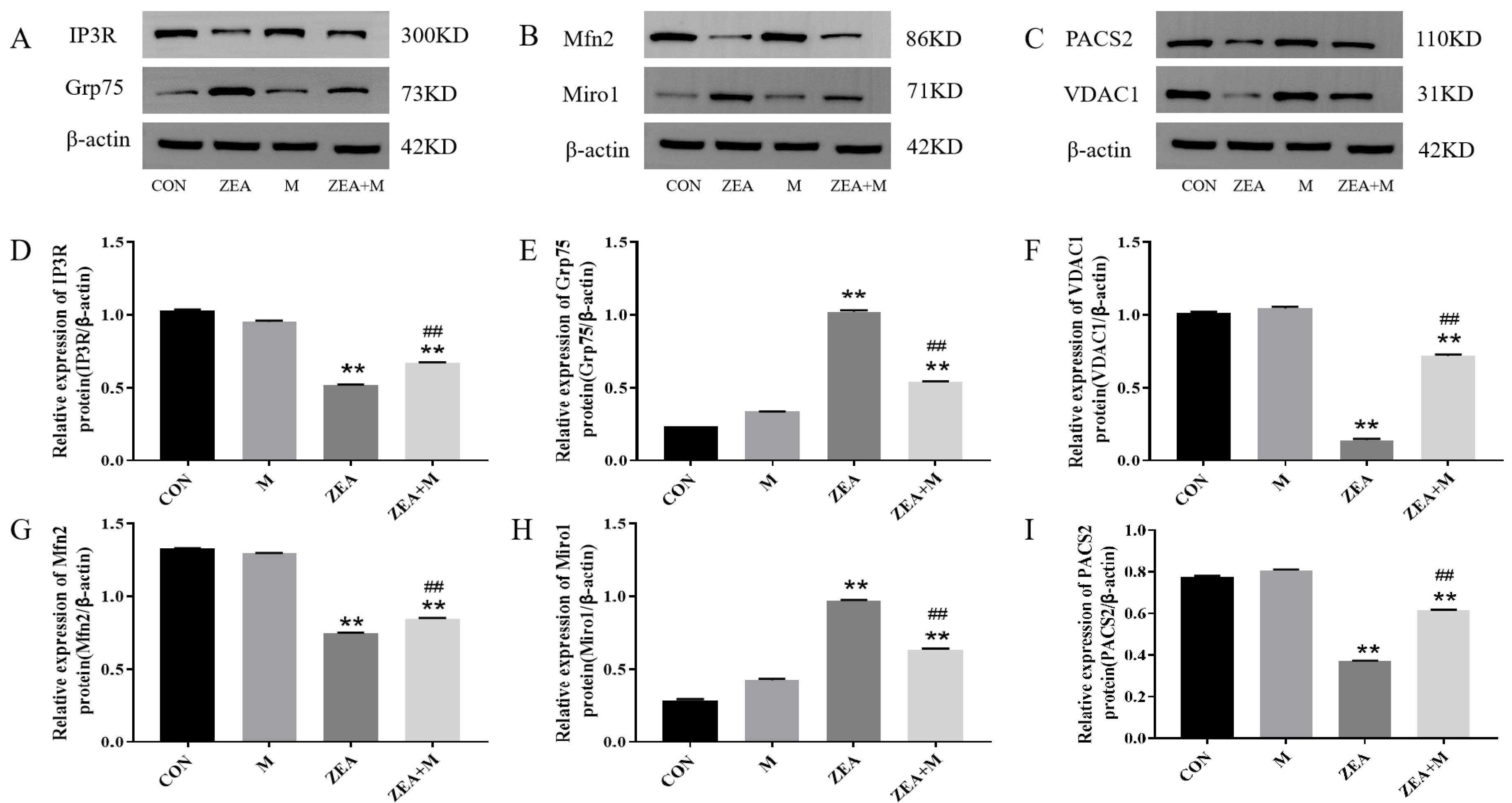 Toxins 15 00253 g006 Toxins 15 00253 g006