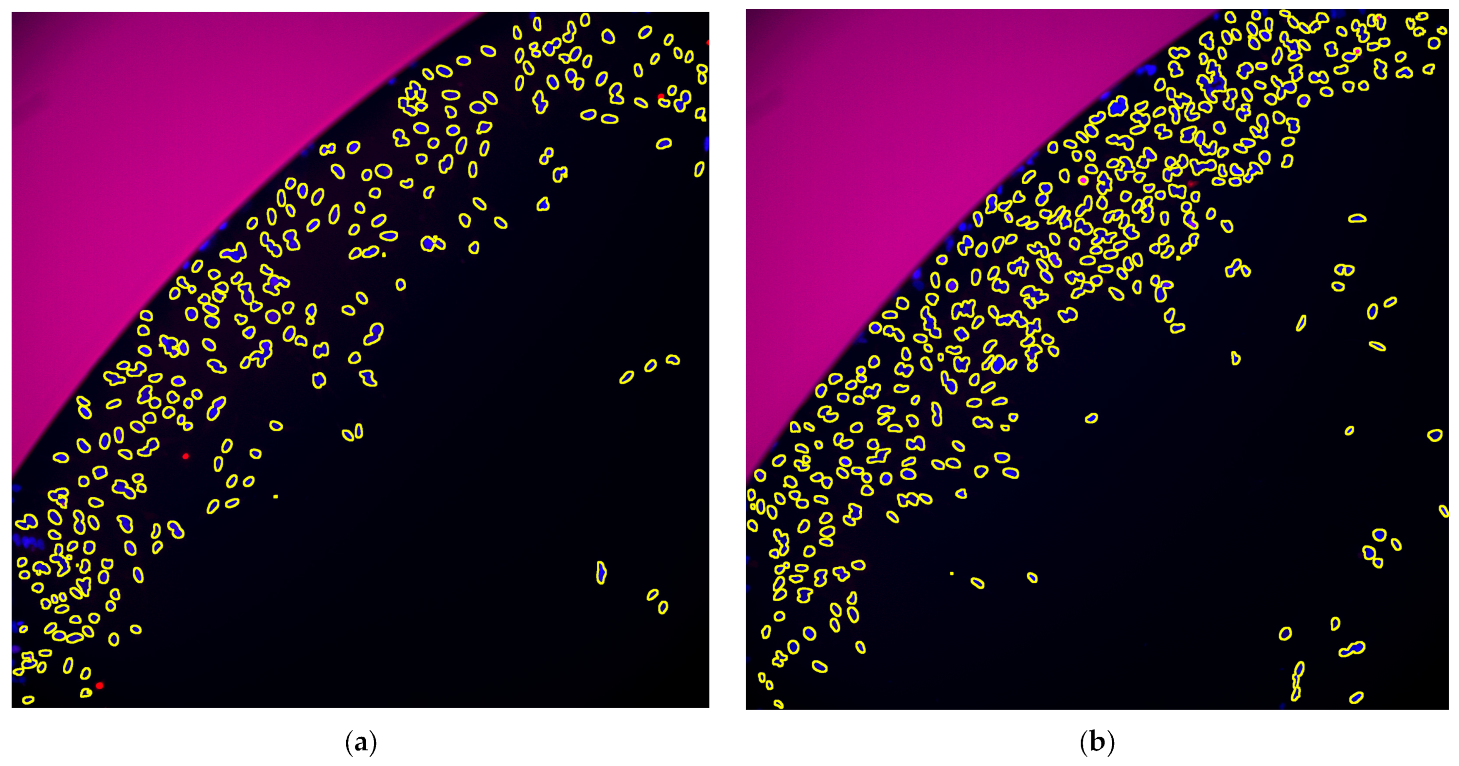 Toxins 15 00263 g001a