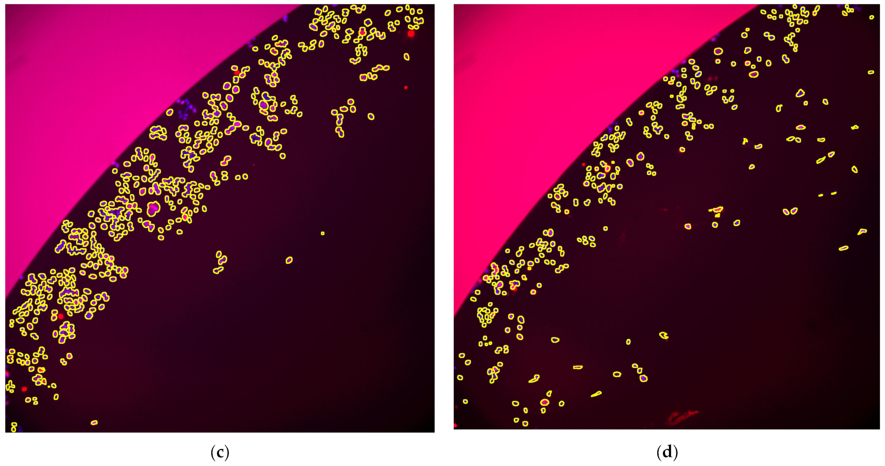 Toxins 15 00263 g001b