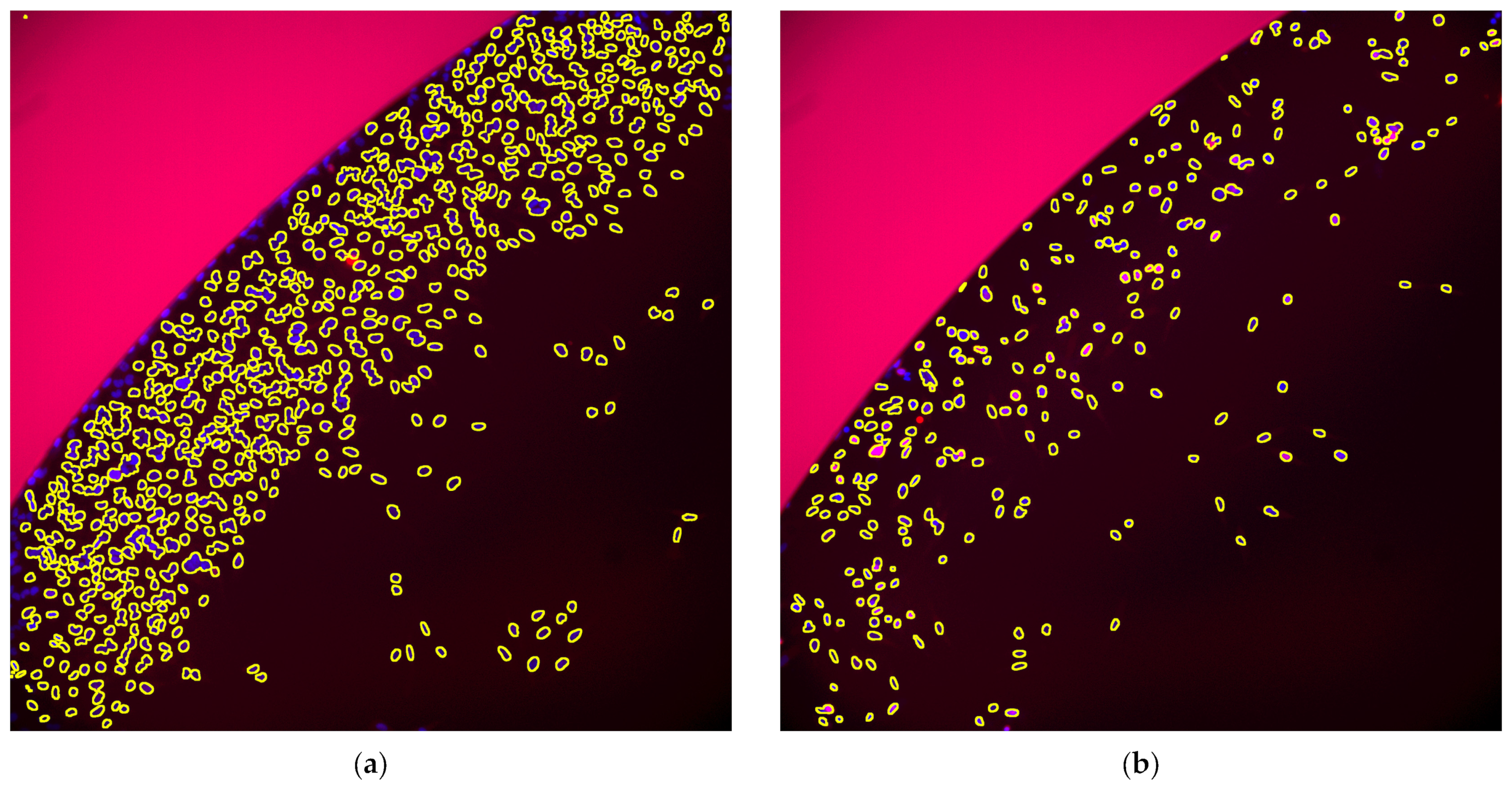 Toxins 15 00263 g002a