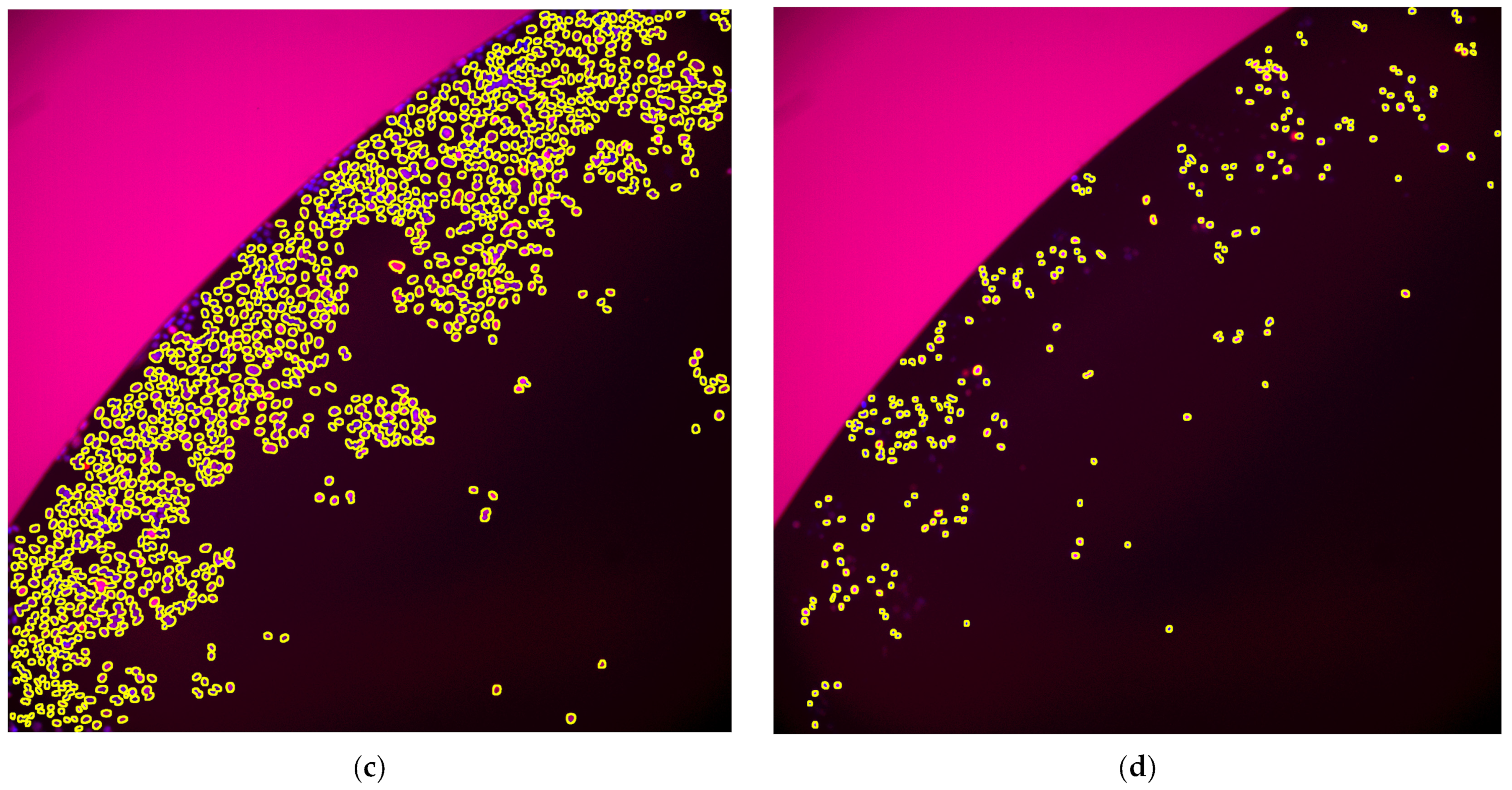 Toxins 15 00263 g002b
