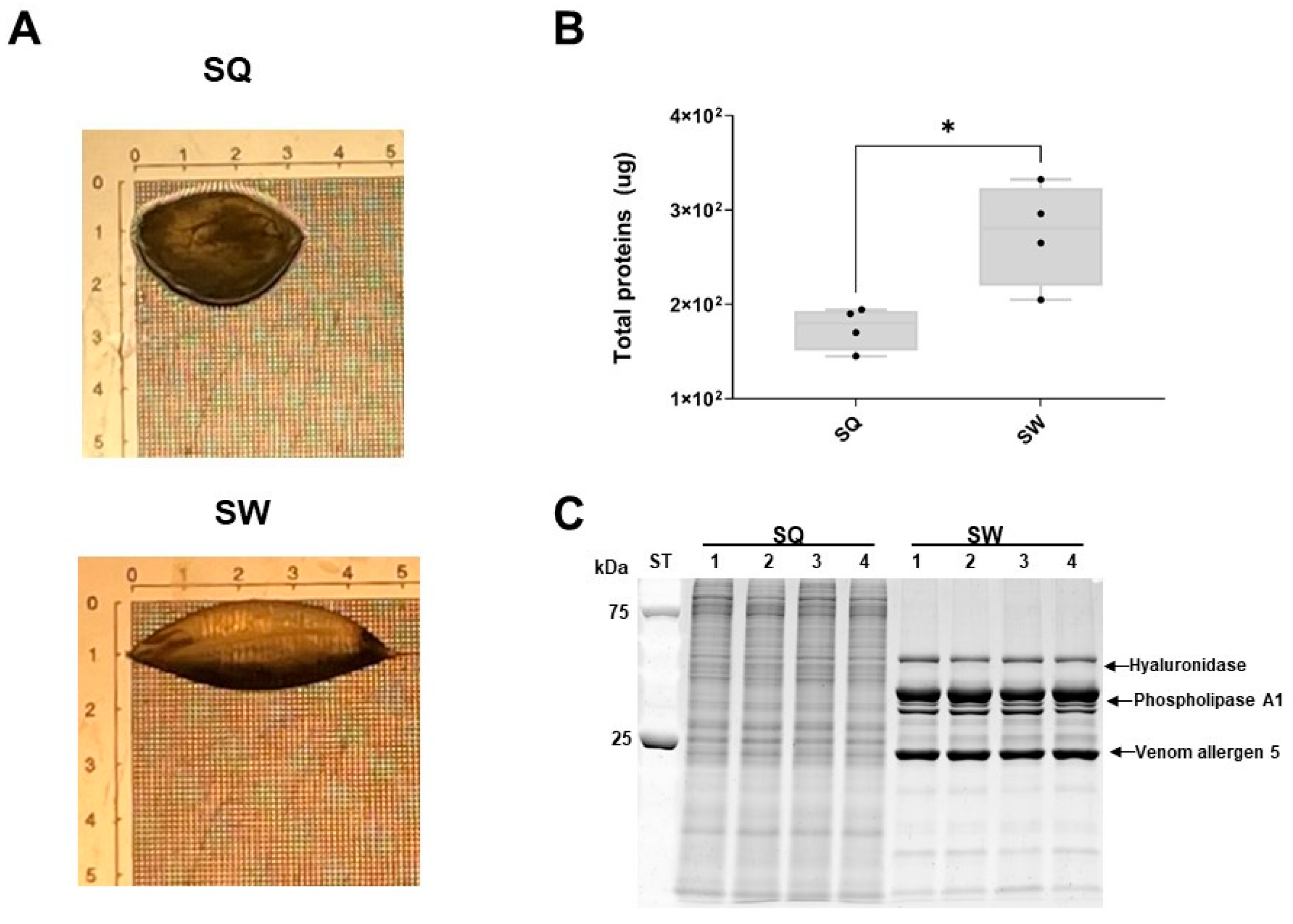 Toxins 15 00266 g001