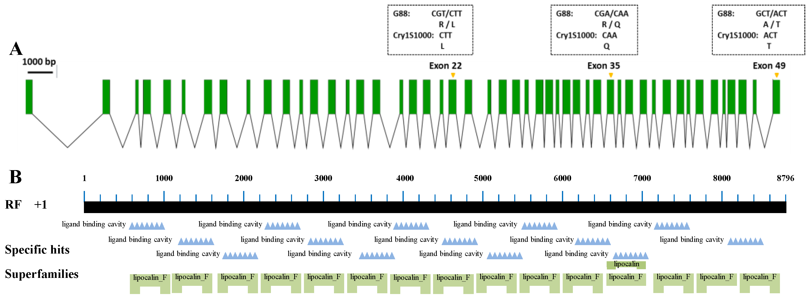 Toxins 15 00273 g001