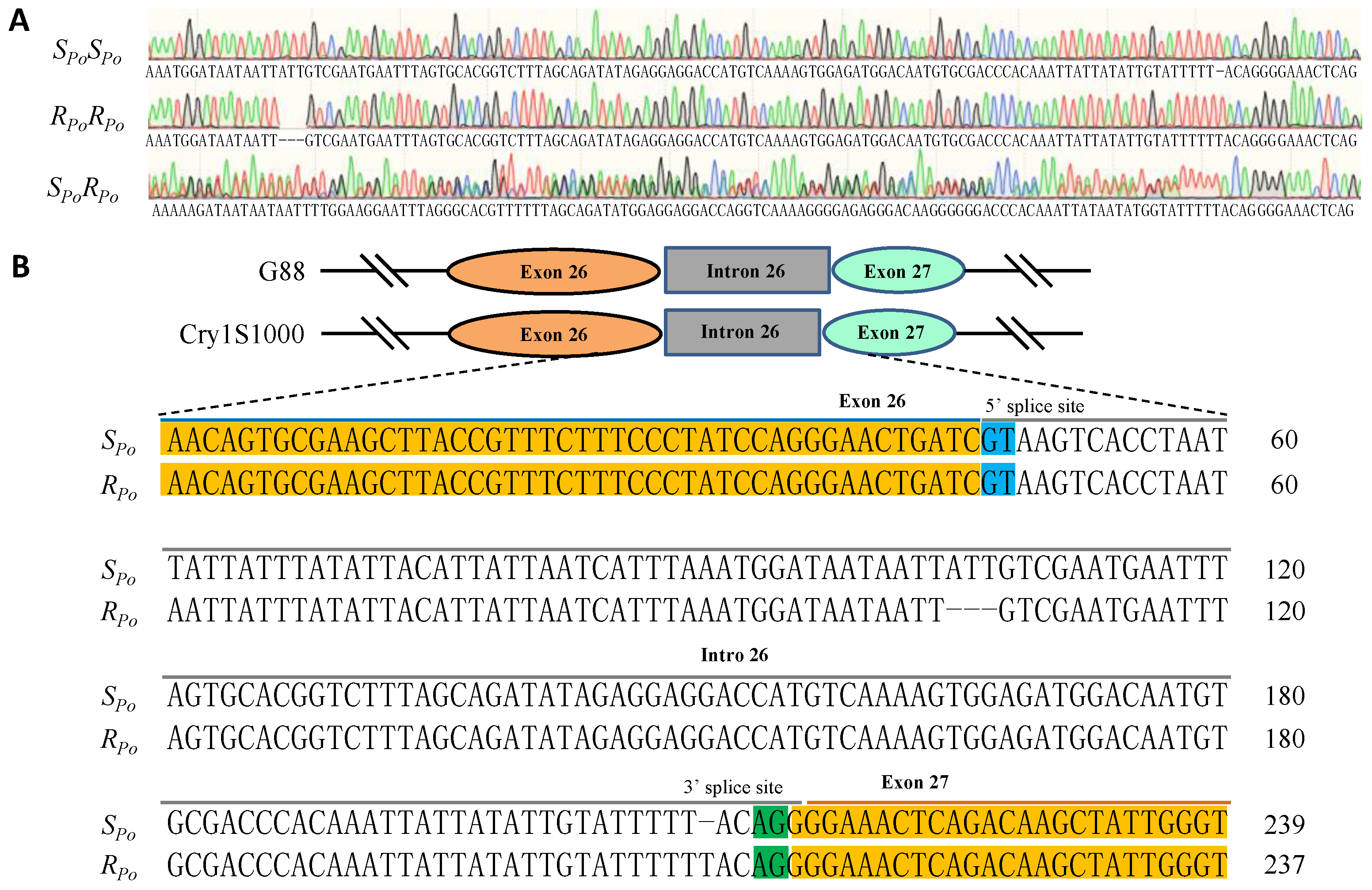 Toxins 15 00273 g002