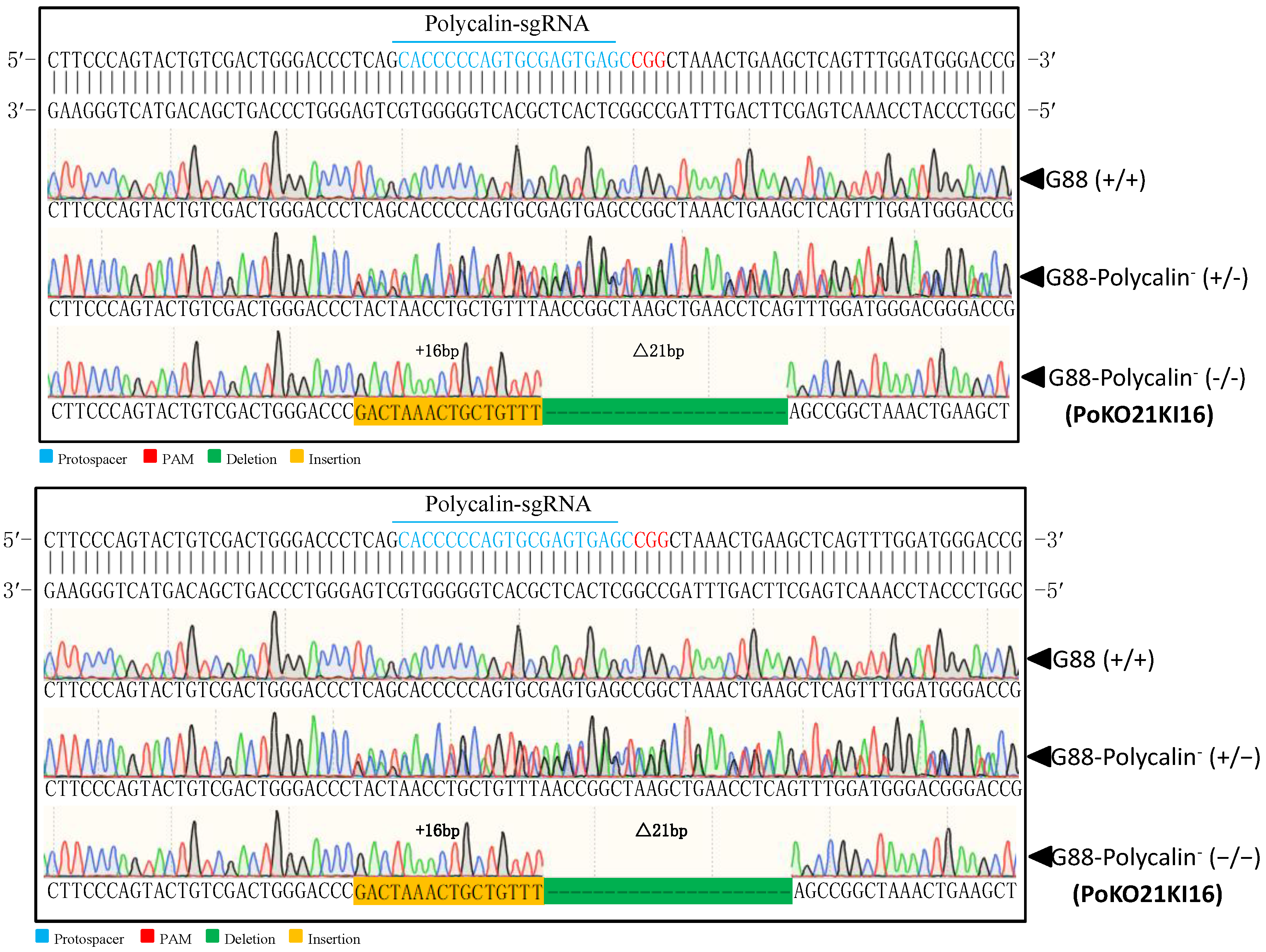 Toxins 15 00273 g007