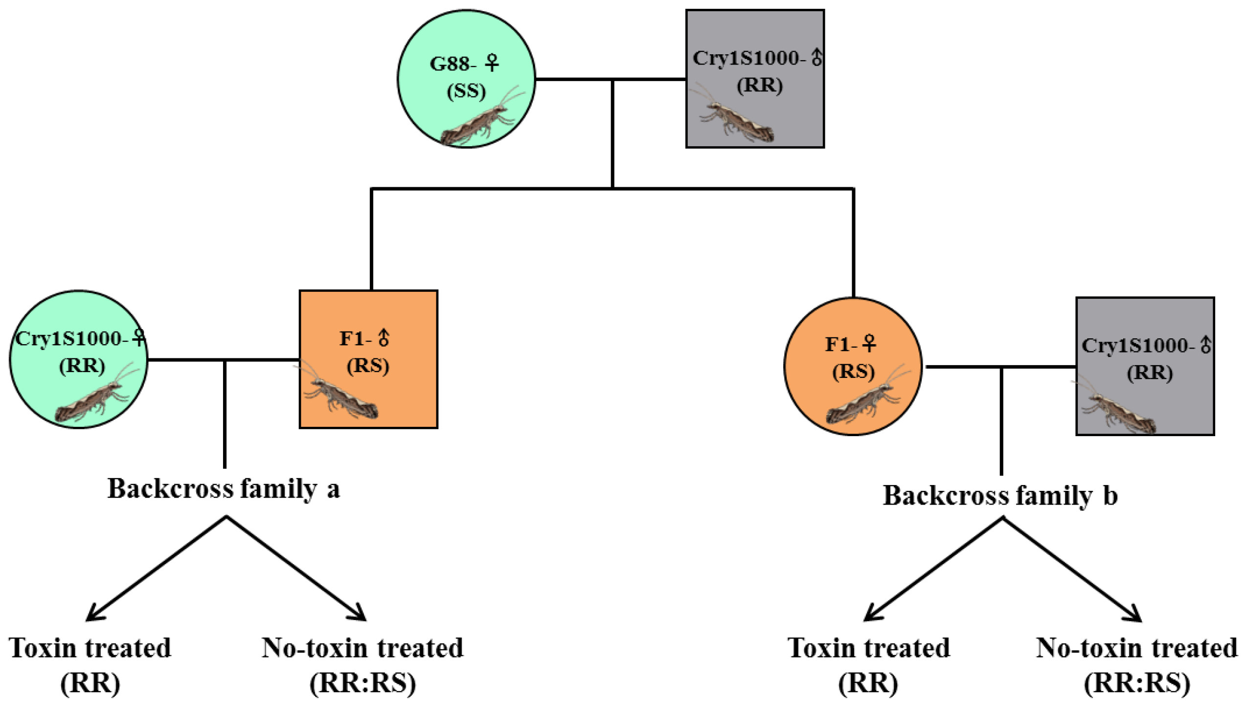 Toxins 15 00273 g009