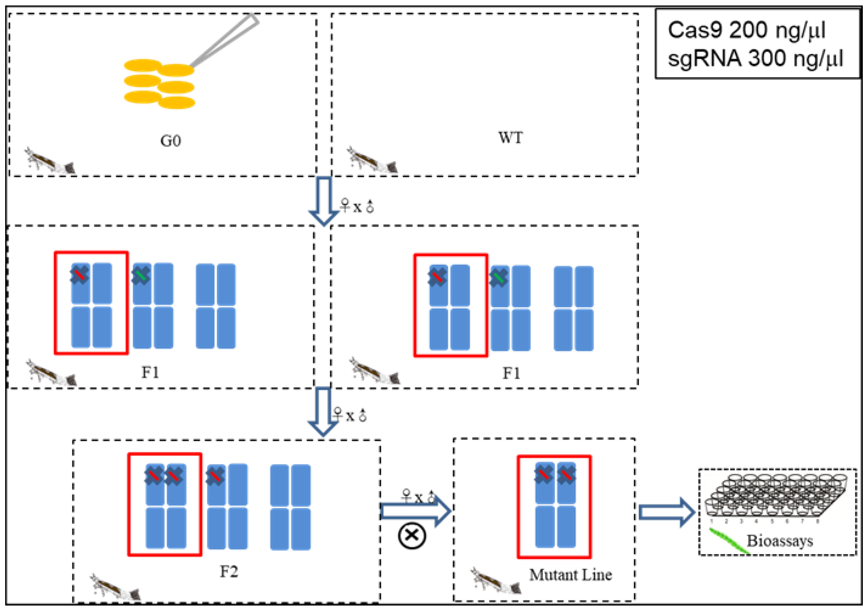 Toxins 15 00273 g010