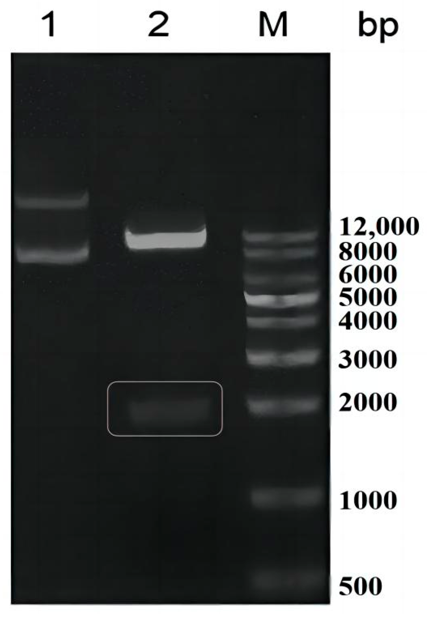 Toxins 15 00286 g002