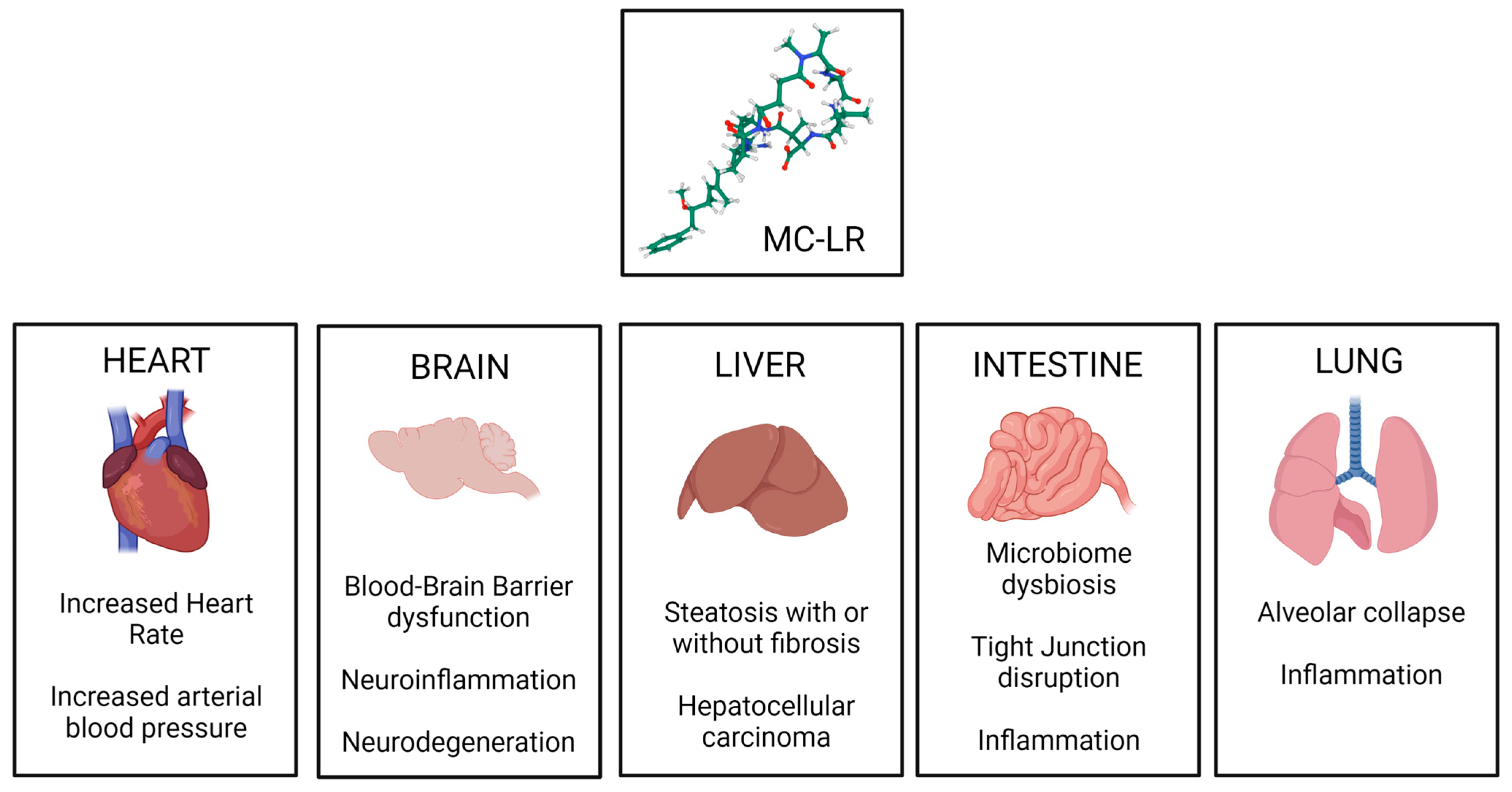 Toxins 15 00289 g003