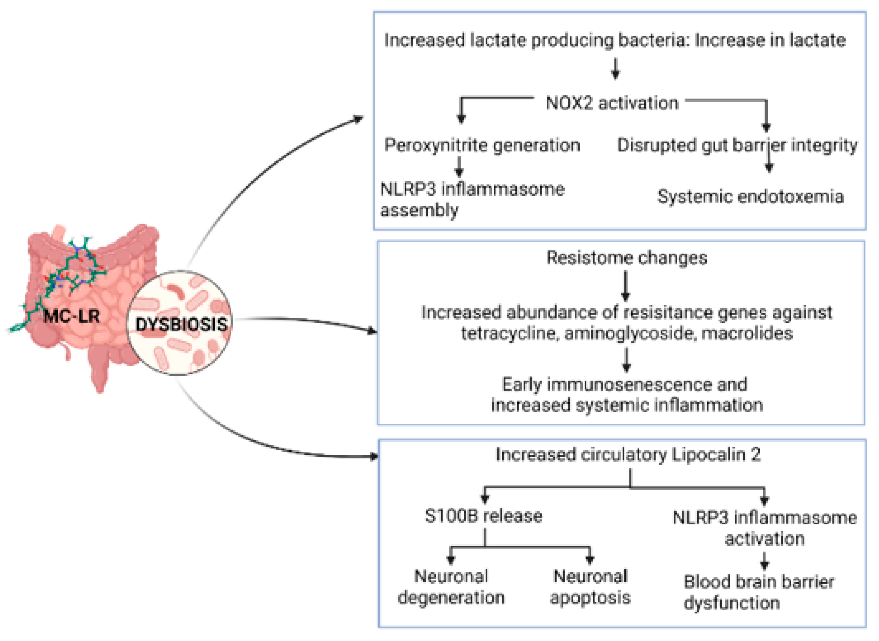 Toxins 15 00289 g004