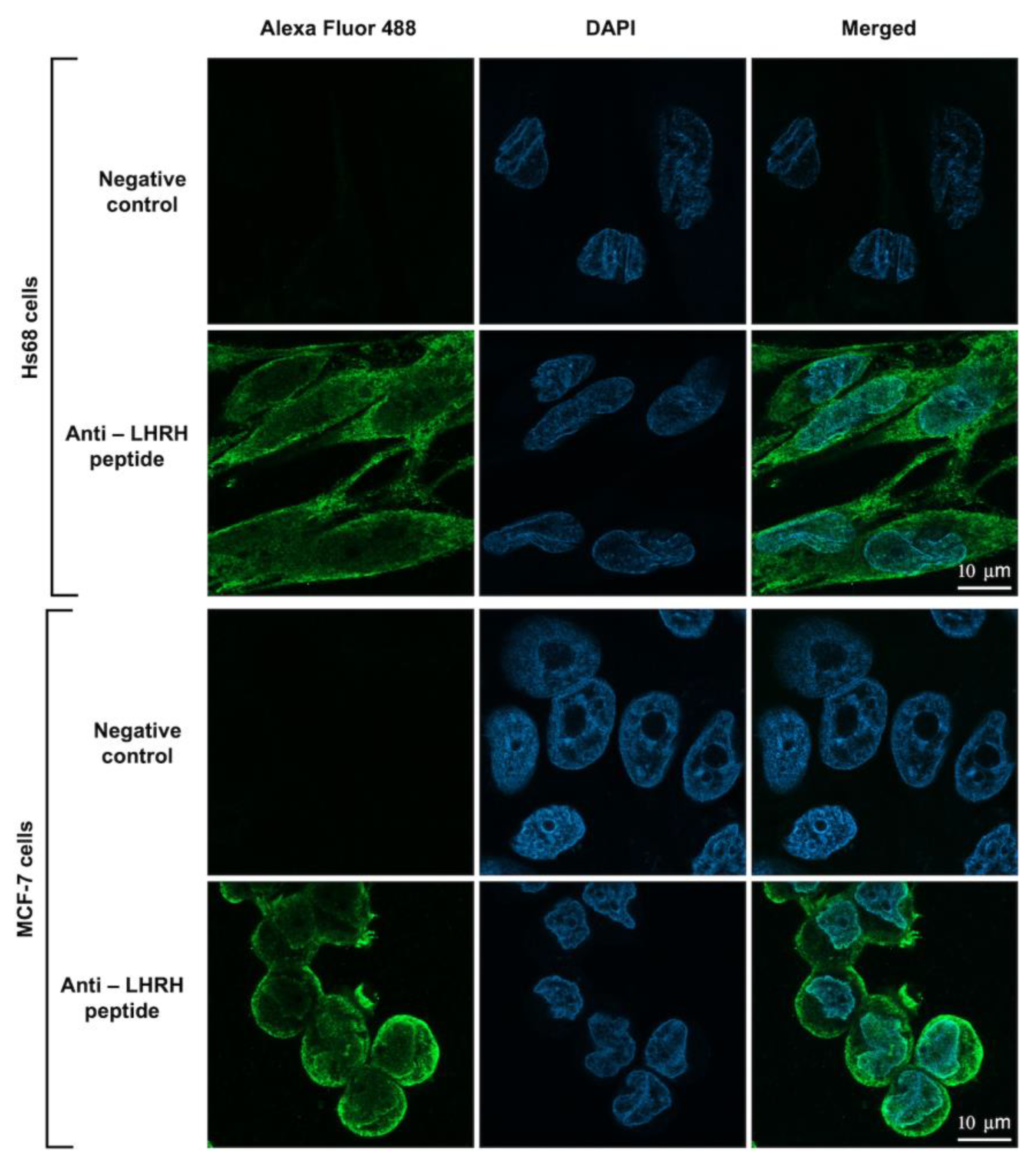 Toxins 15 00297 g005