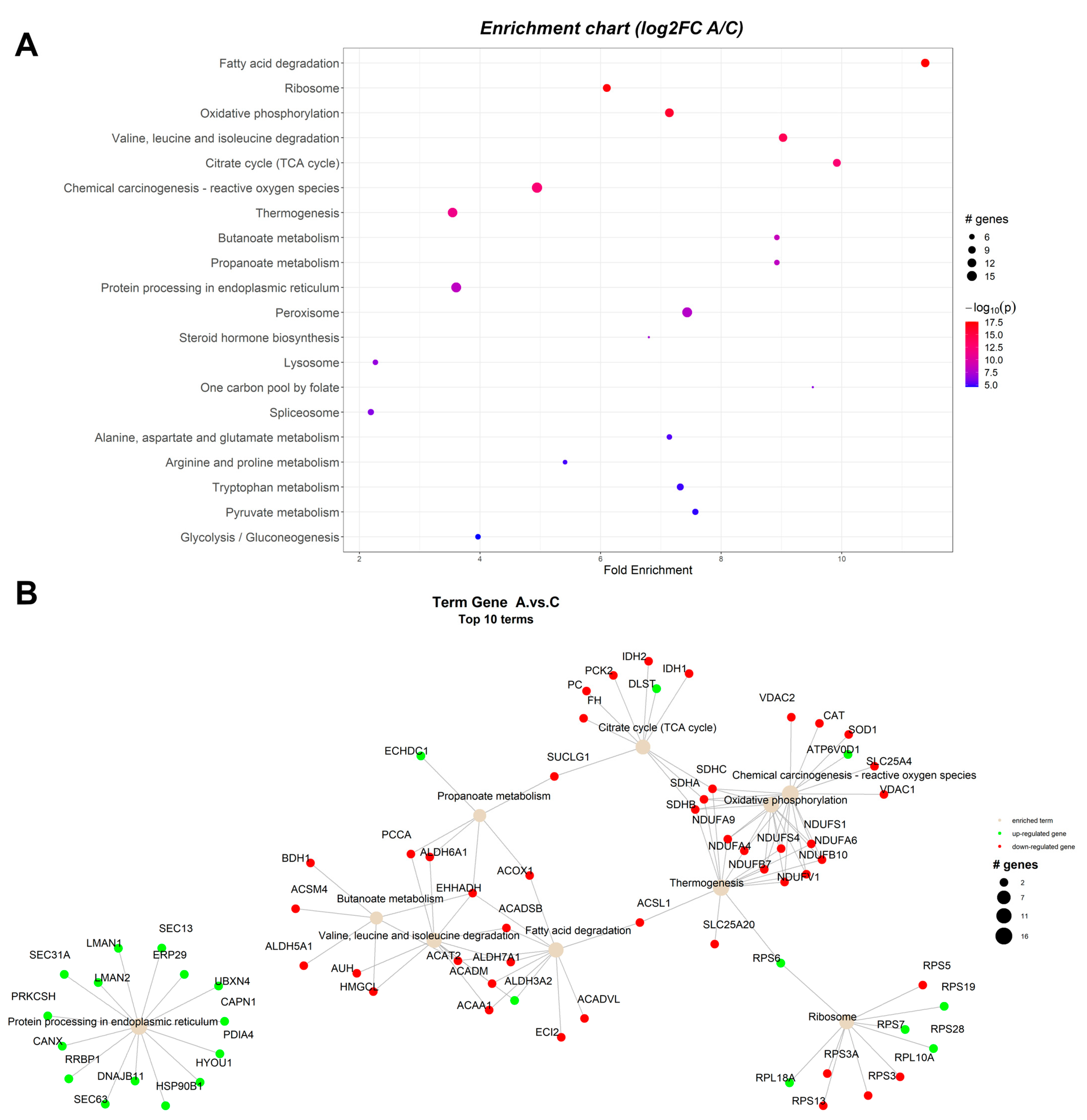 Toxins 15 00299 g001