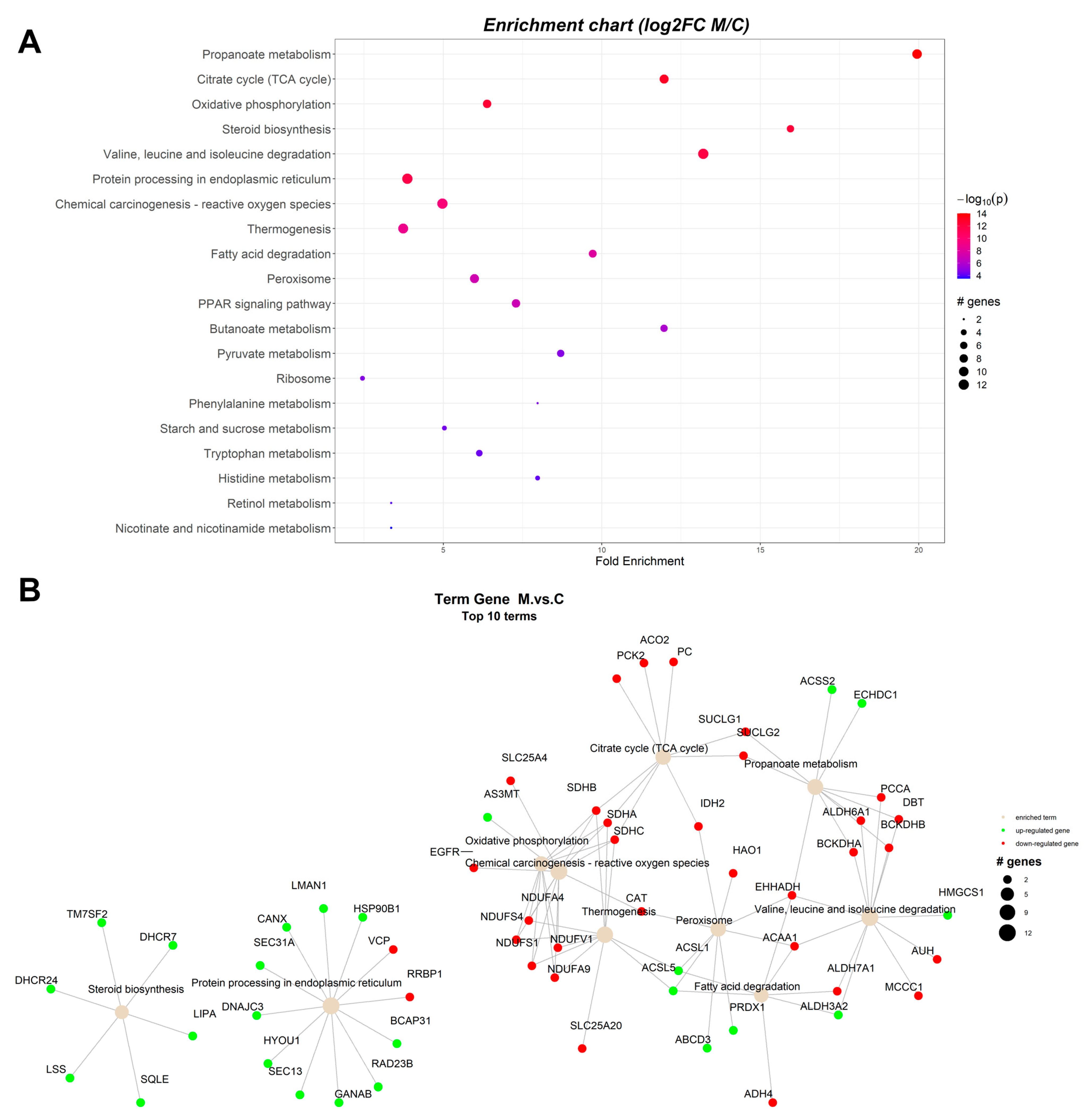 Toxins 15 00299 g002