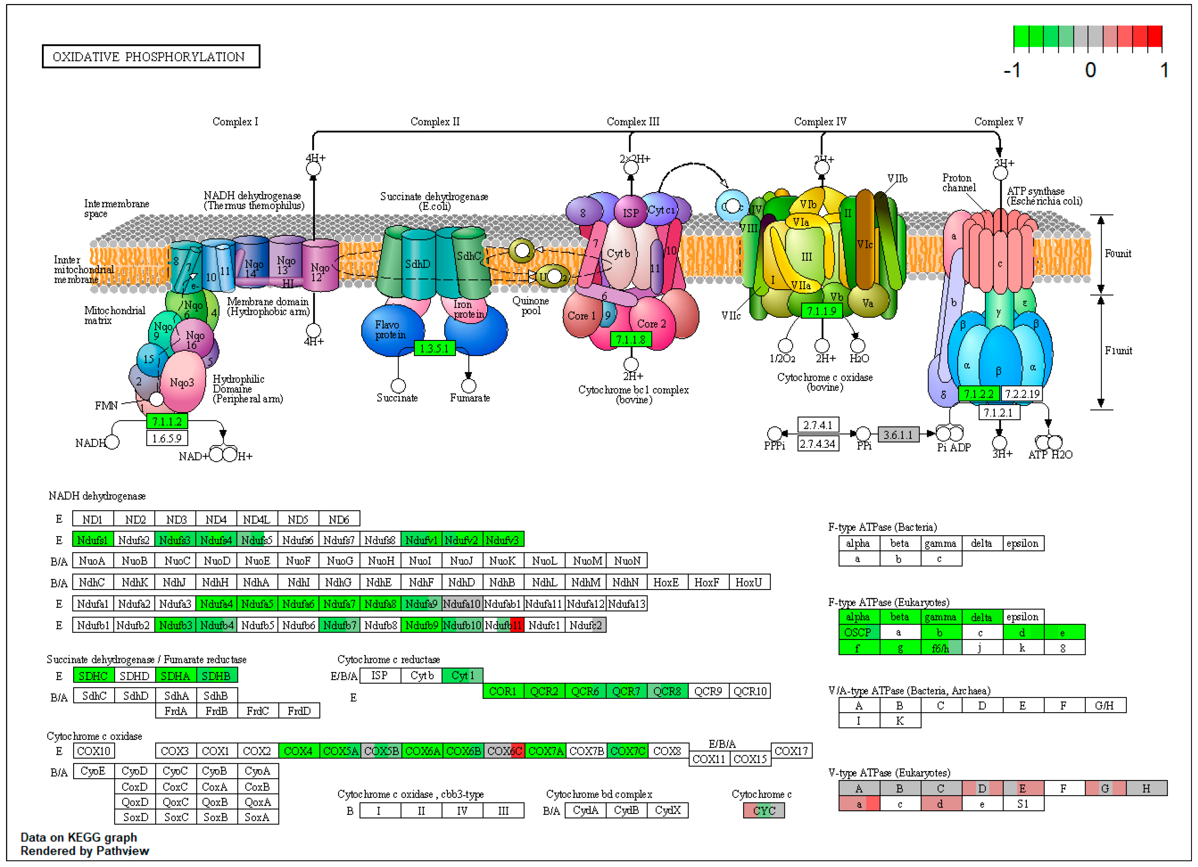 Toxins 15 00299 g0a2