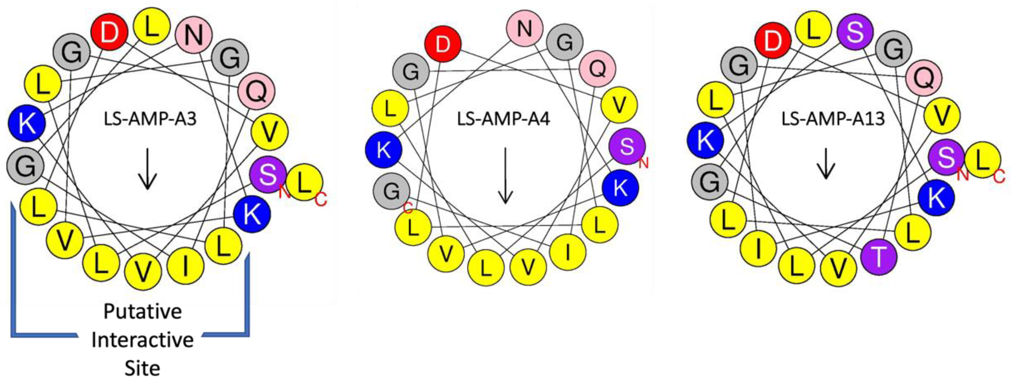 Toxins 15 00303 g003