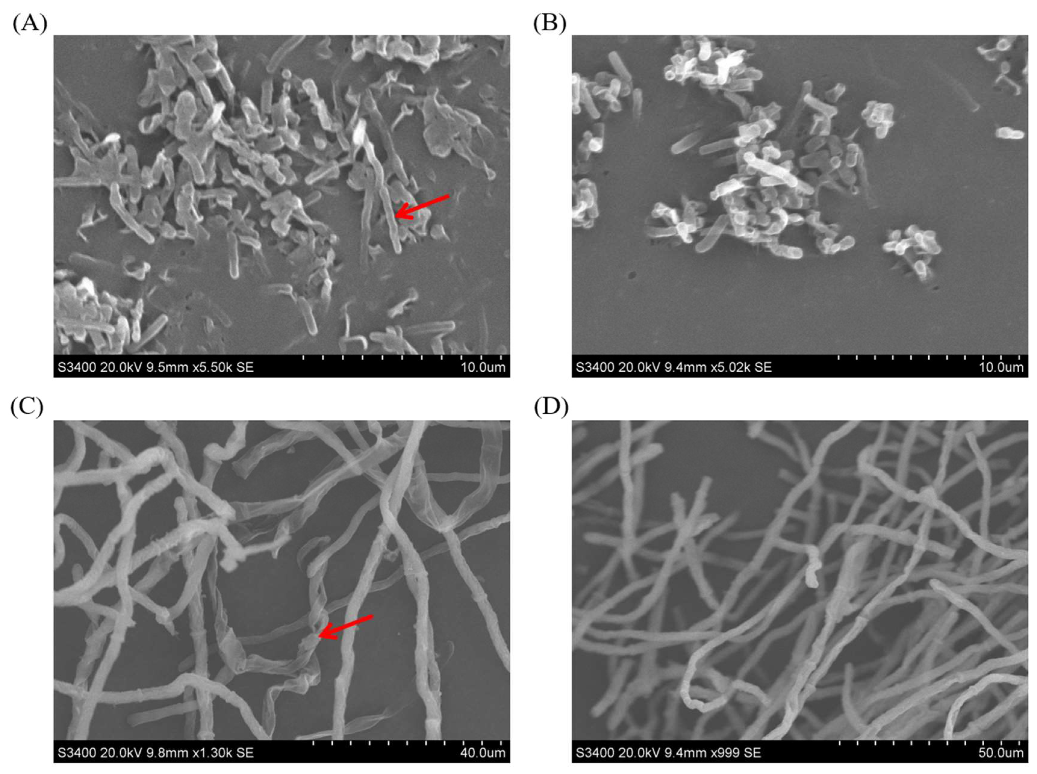 Toxins 15 00308 g005 Toxins 15 00308 g005