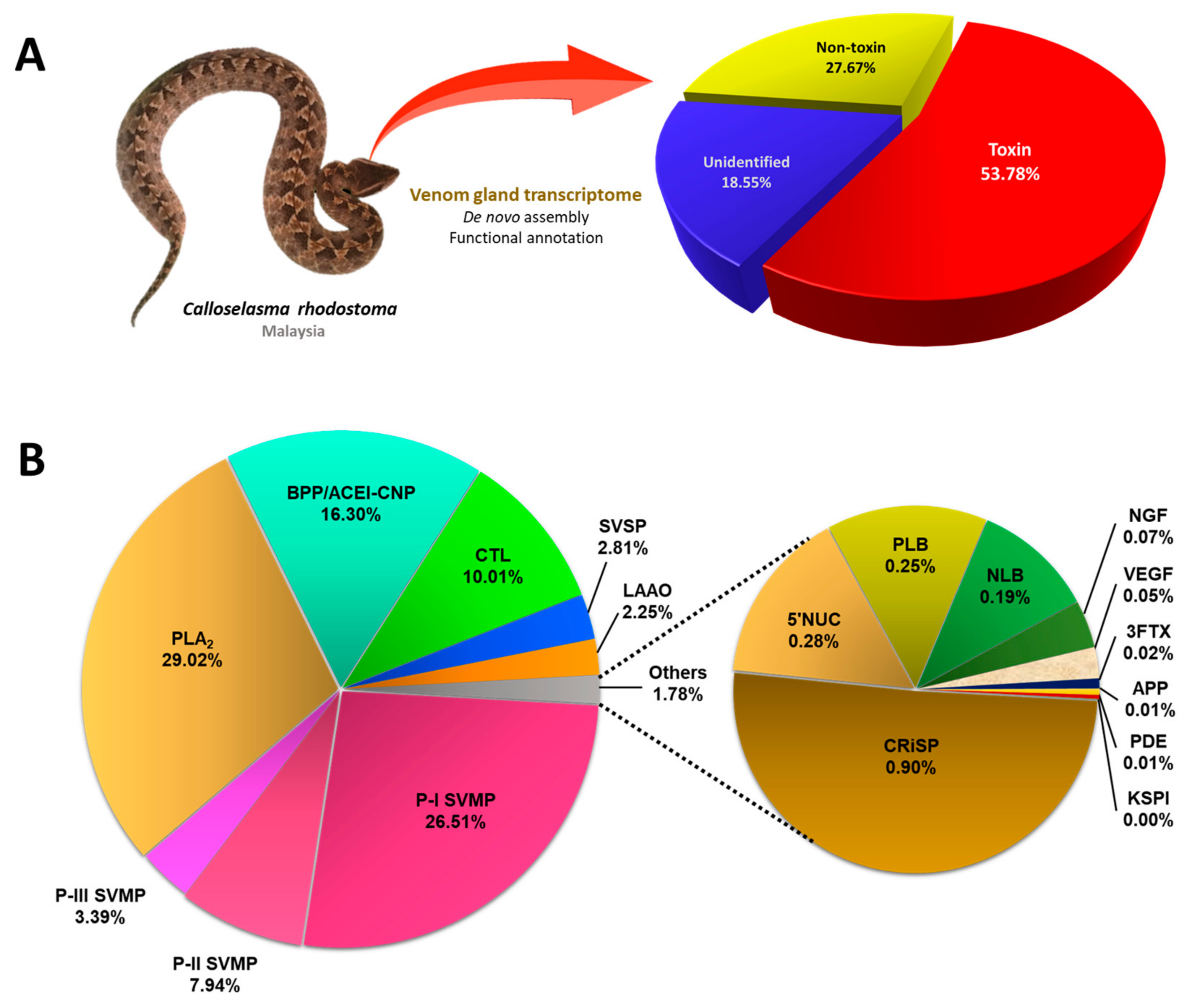 Toxins 15 00315 g001