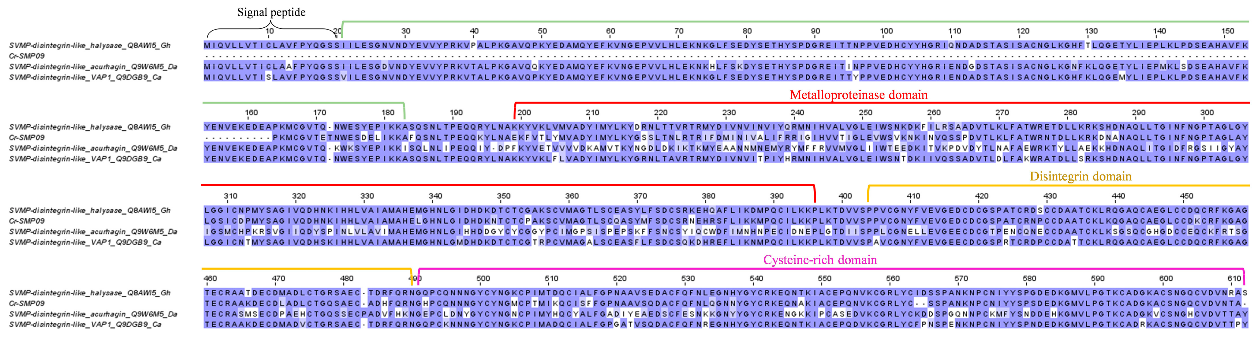 Toxins 15 00315 g004