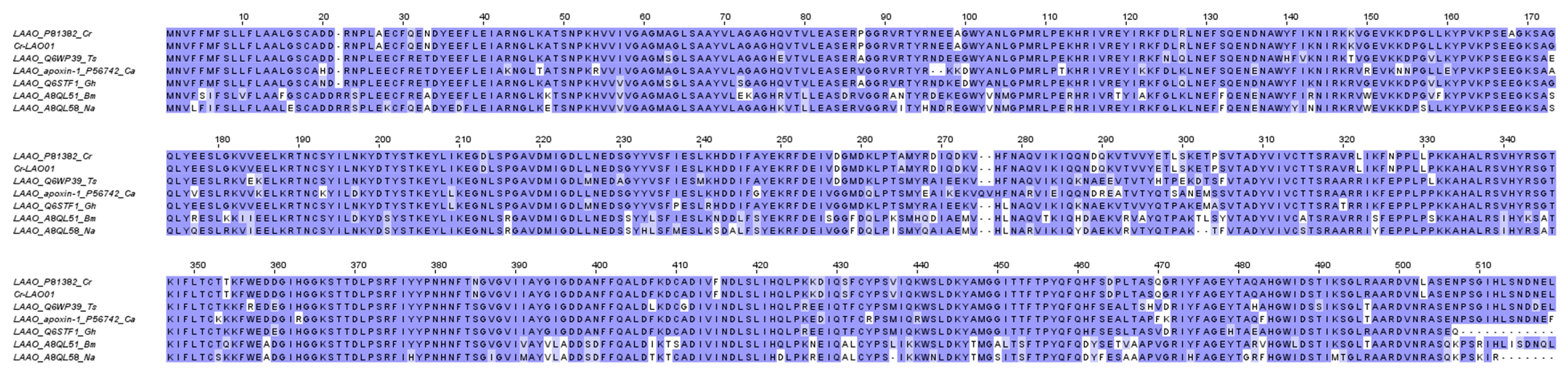 Toxins 15 00315 g009