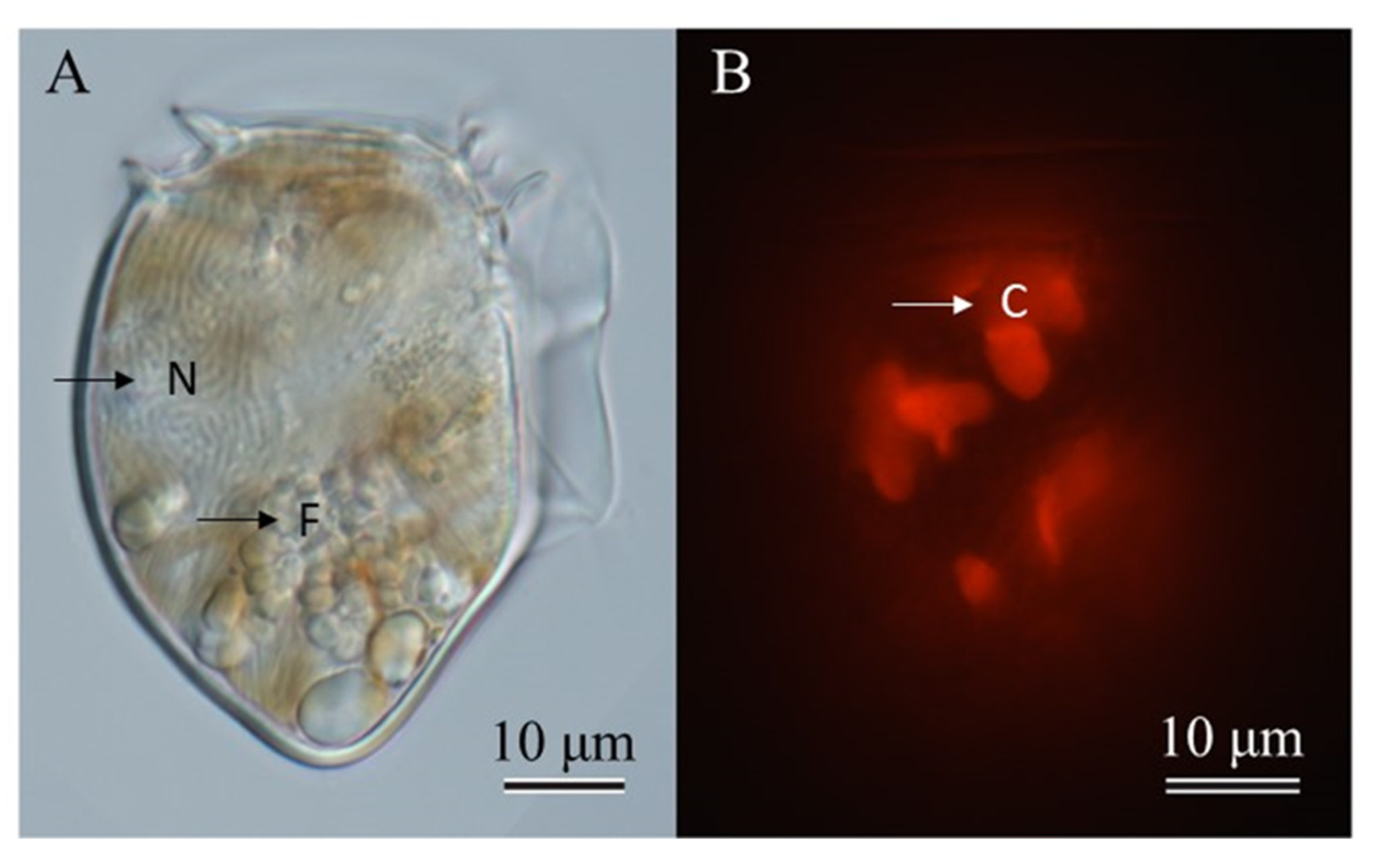 Toxins 15 00318 g001