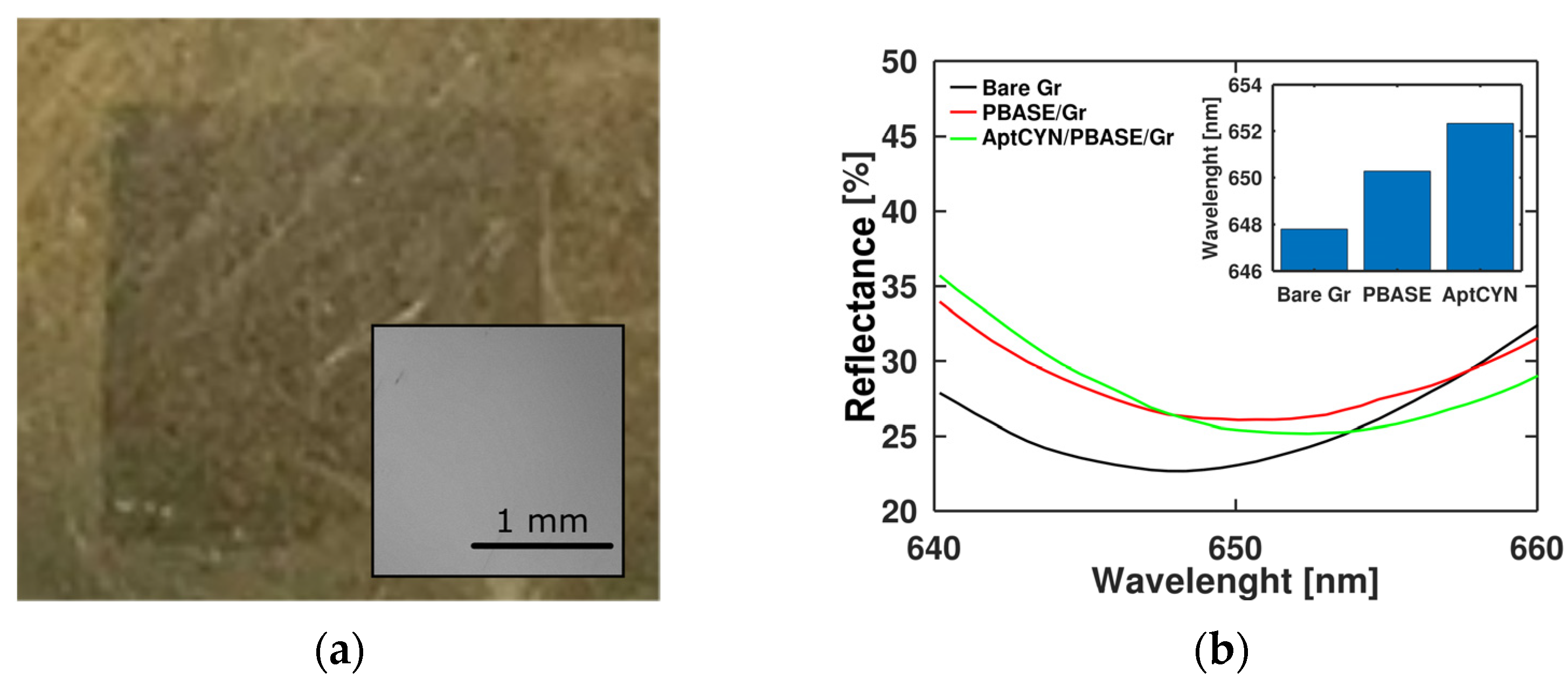 Toxins 15 00326 g002
