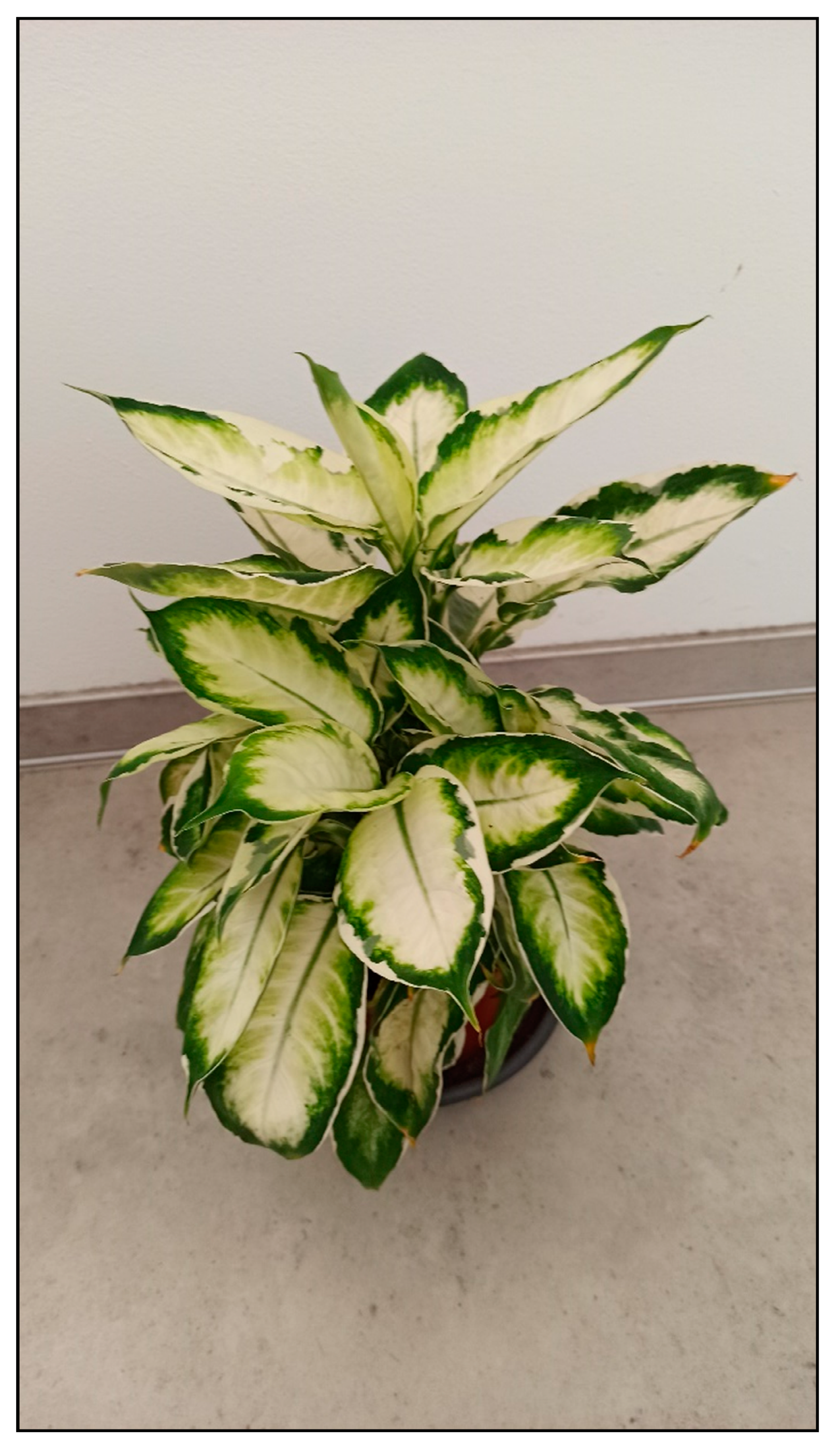 Toxins 15 00346 g001