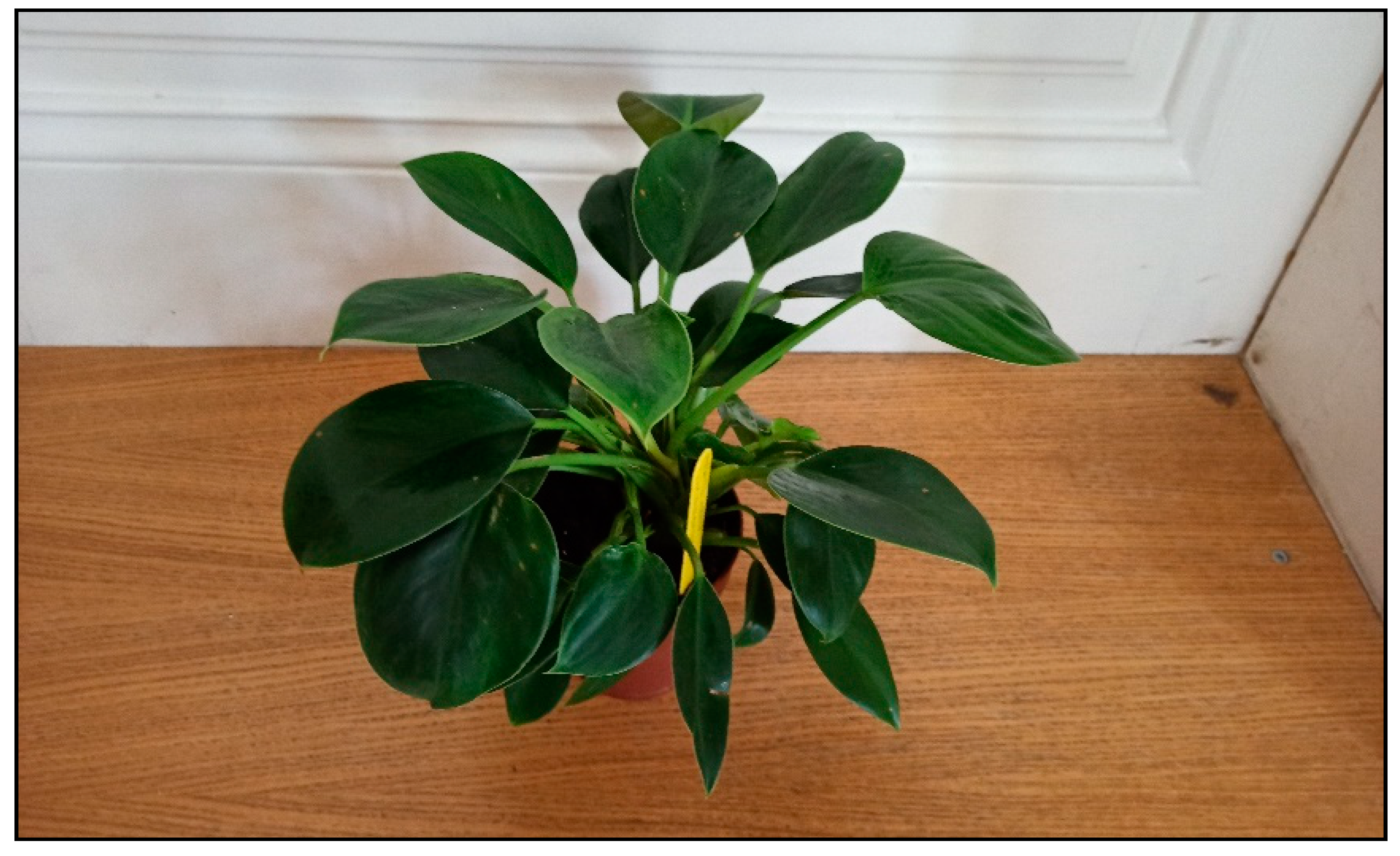 Toxins 15 00346 g004