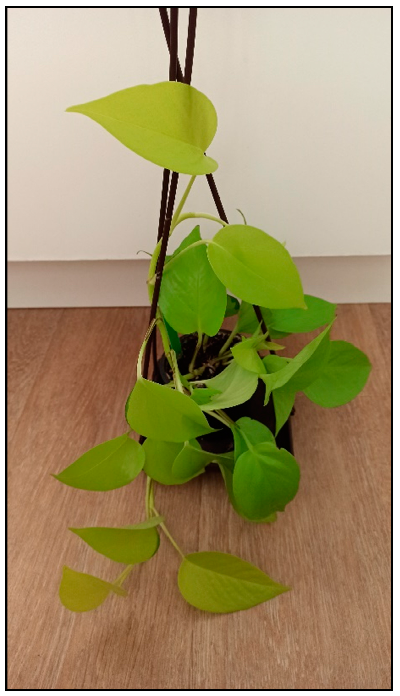 Toxins 15 00346 g009