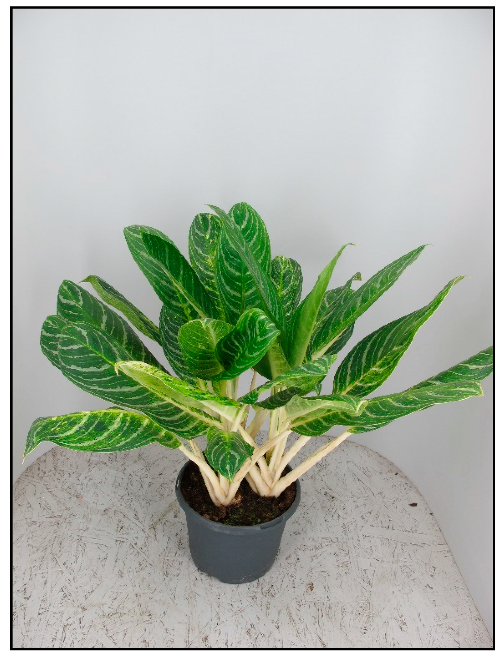 Toxins 15 00346 g010