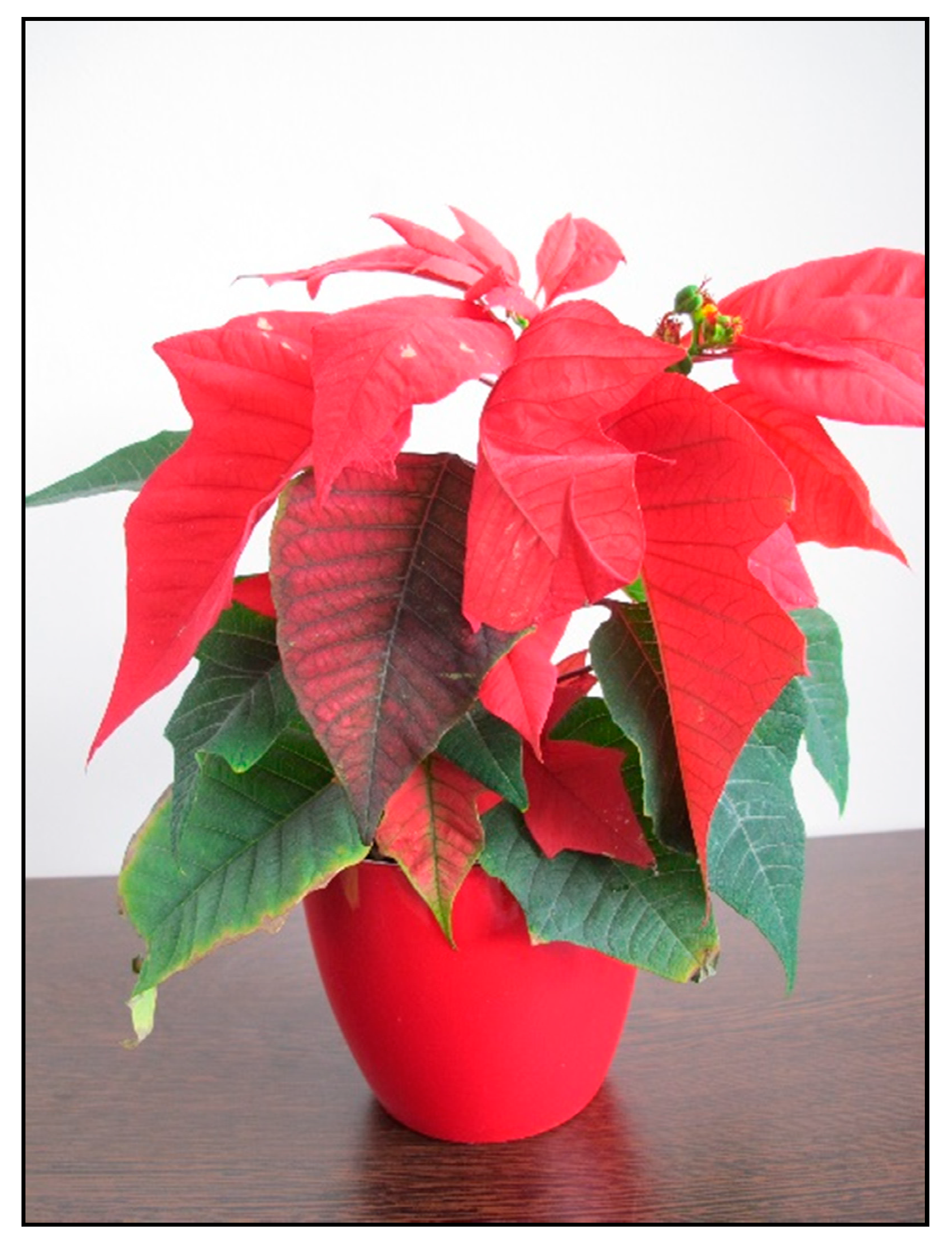 Toxins 15 00346 g011