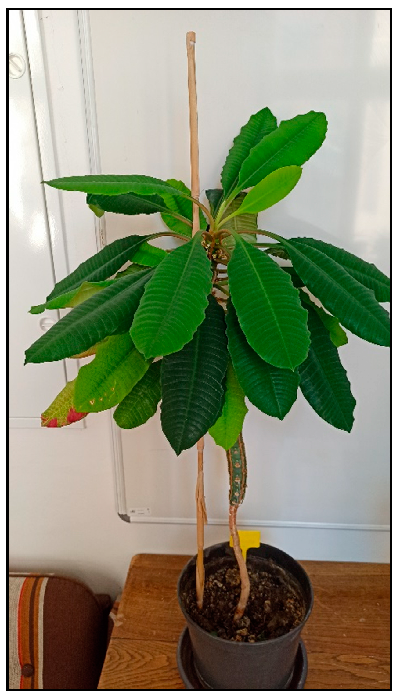 Toxins 15 00346 g013