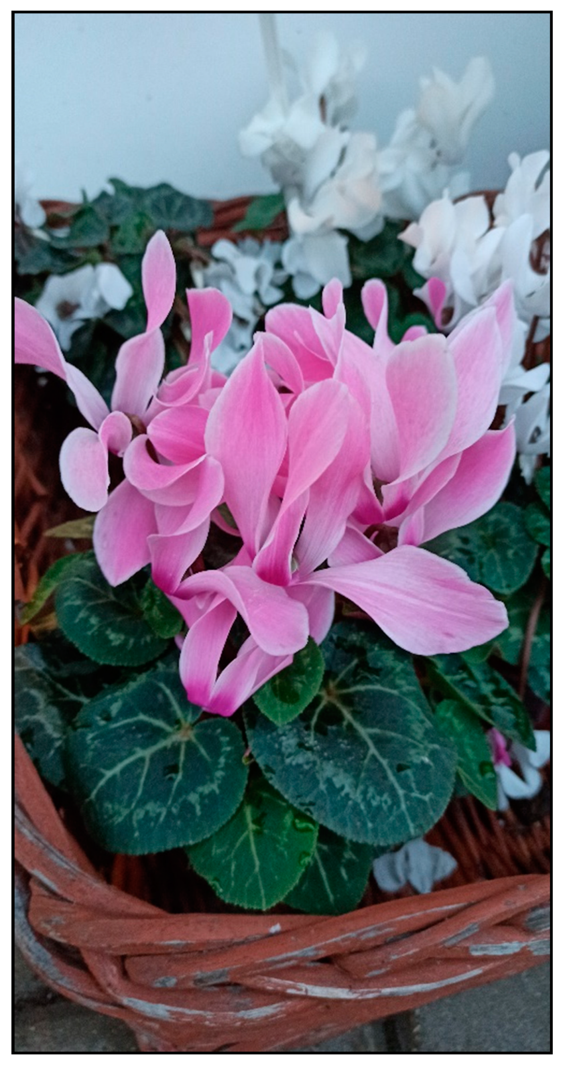 Toxins 15 00346 g015