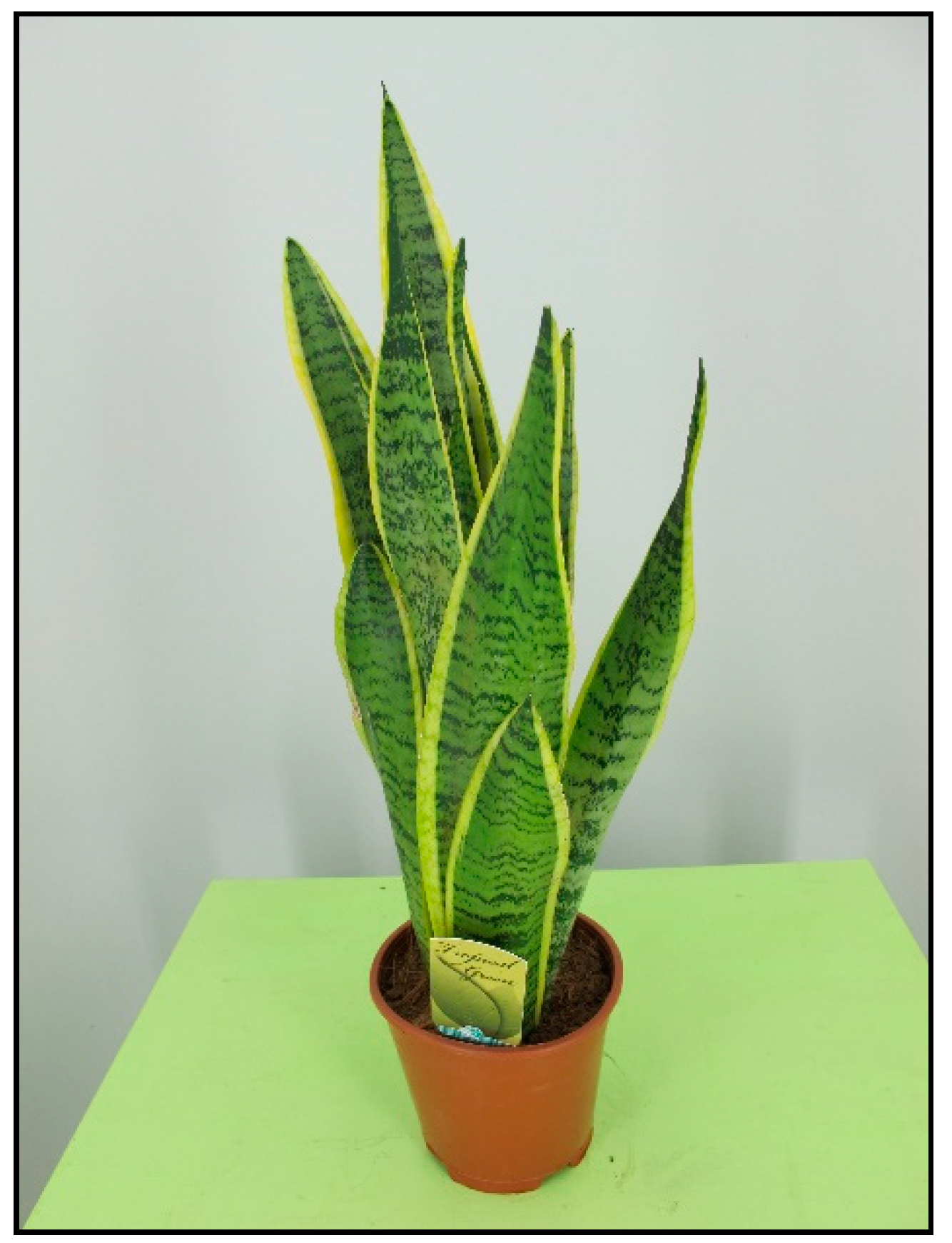 Toxins 15 00346 g018