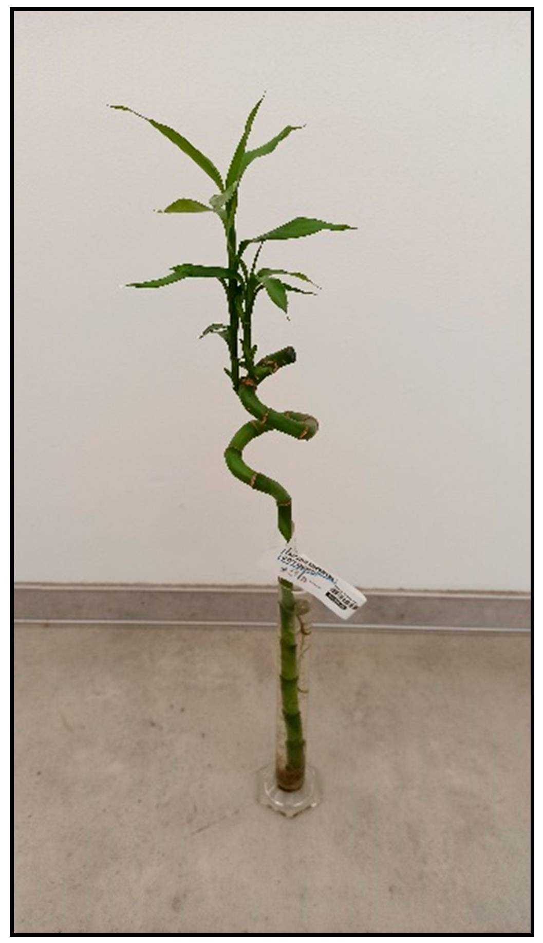 Toxins 15 00346 g019