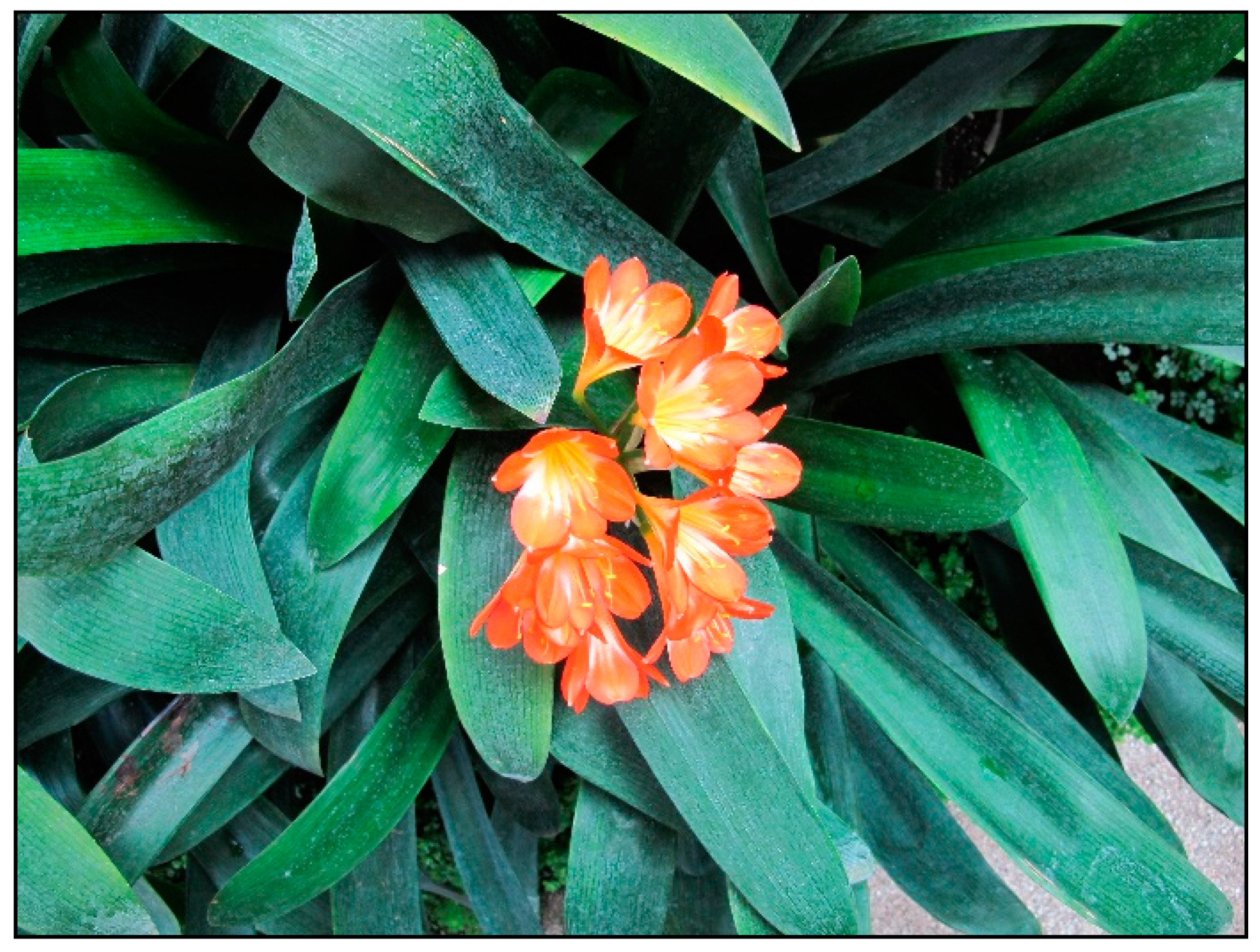 Toxins 15 00346 g023